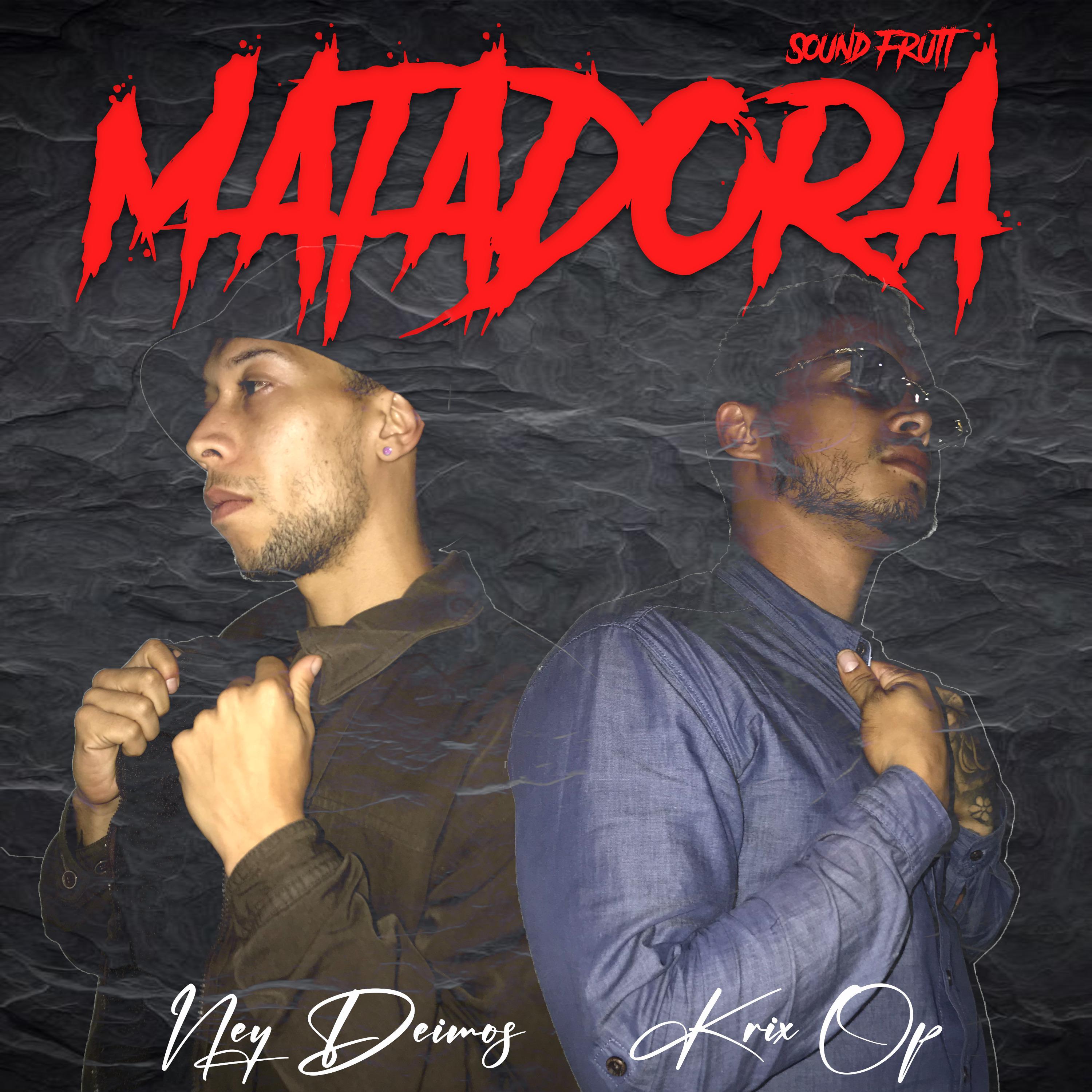 Постер альбома Matadora
