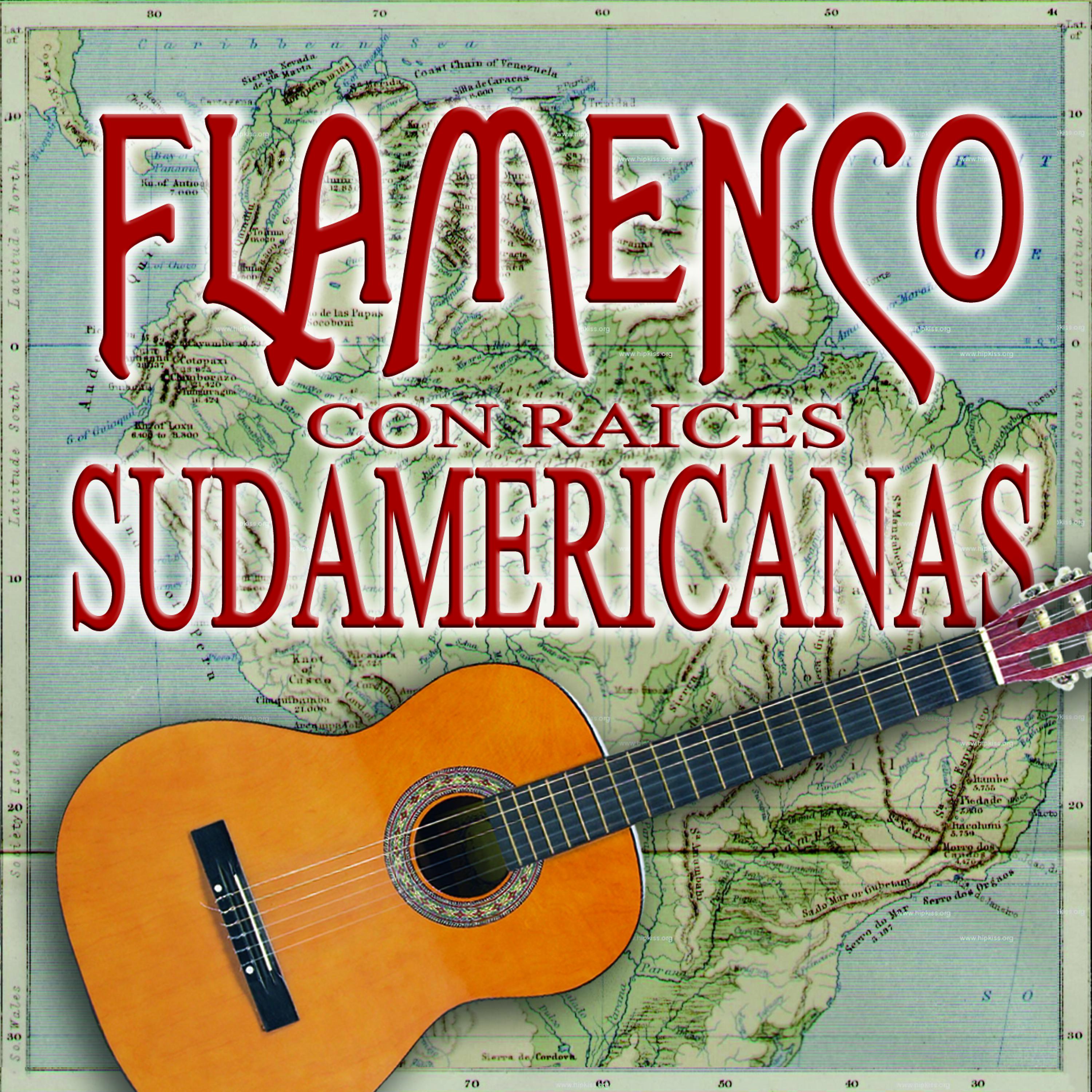 Постер альбома Flamenco Con Raices Sudamericanas