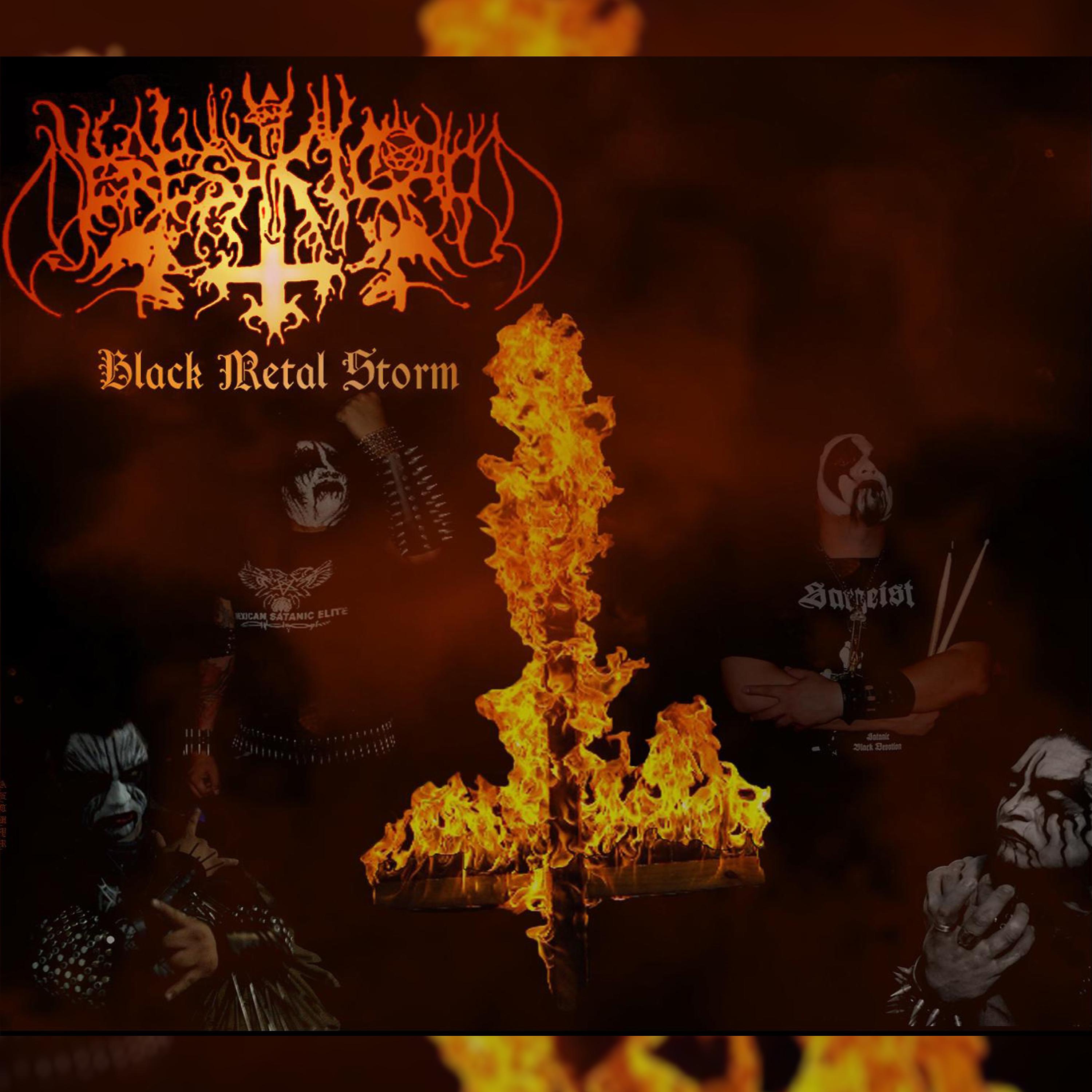Постер альбома Black Metal Storm