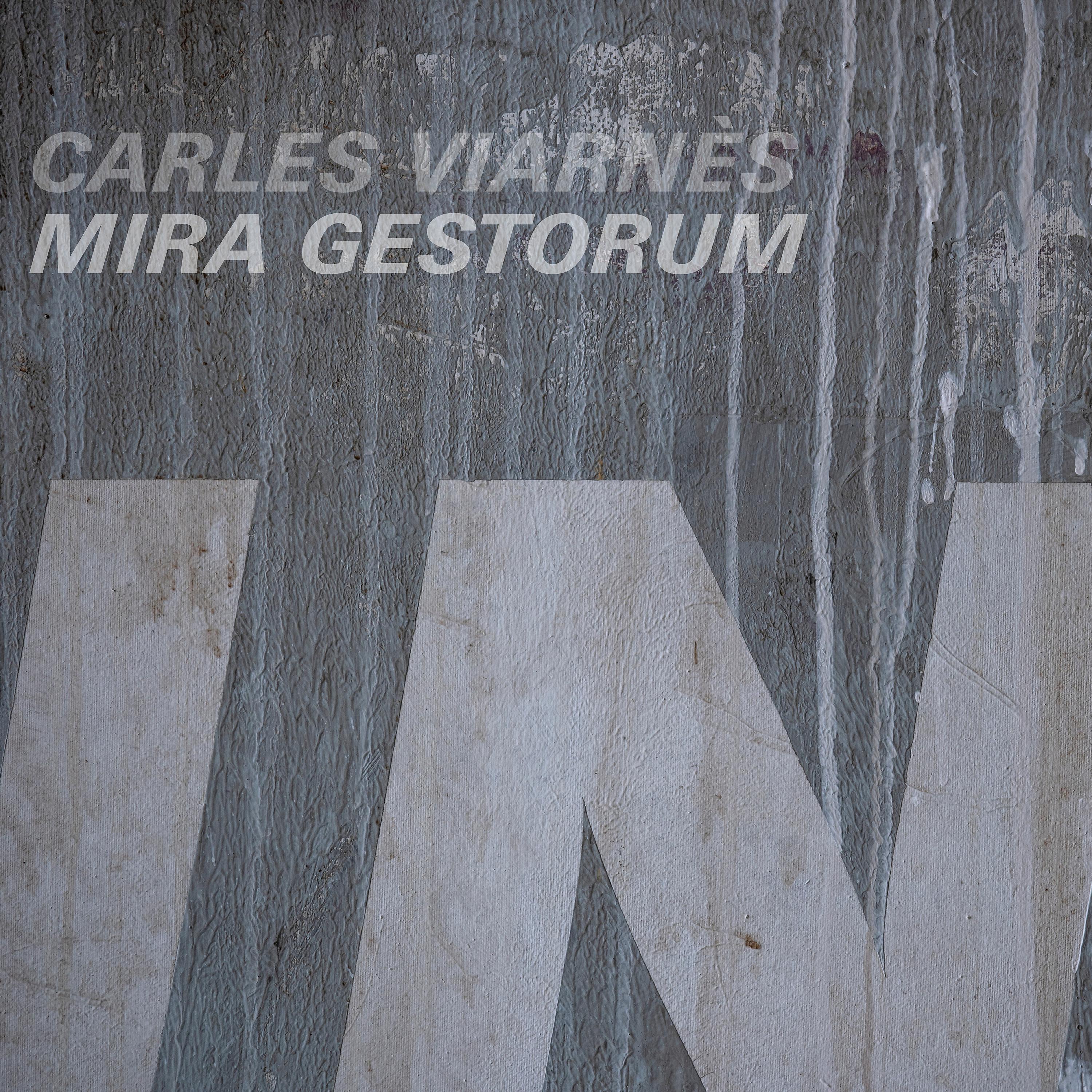 Постер альбома Mira Gestorum