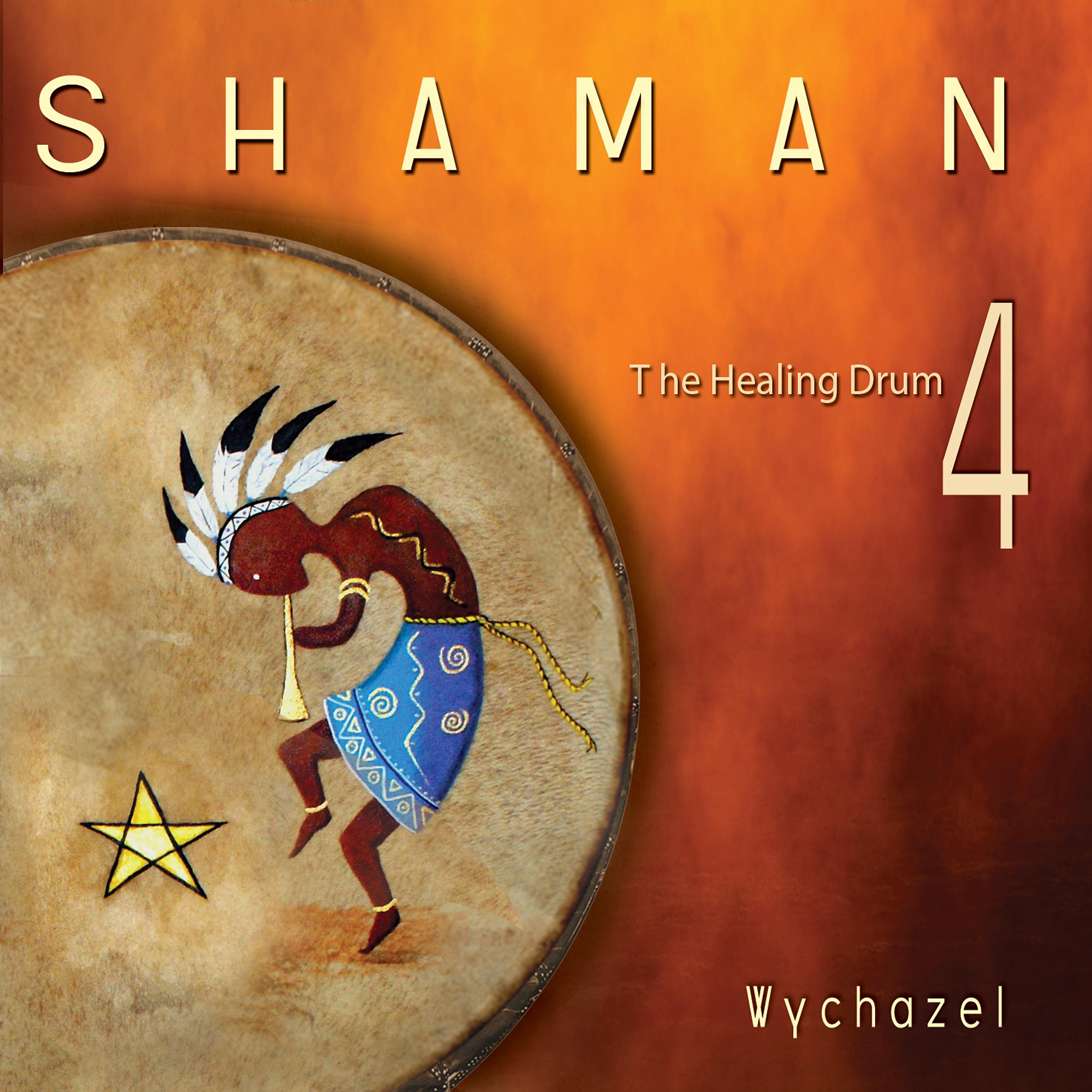 Постер альбома Shaman 4