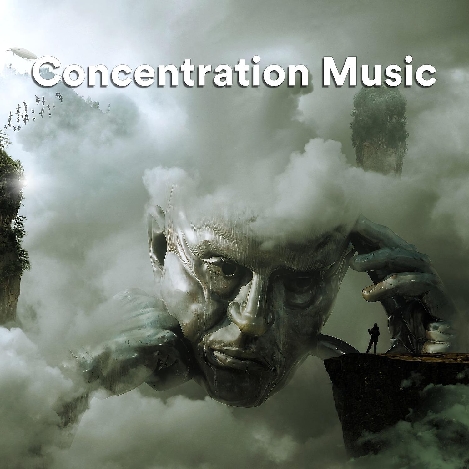 Постер альбома Concentration Music