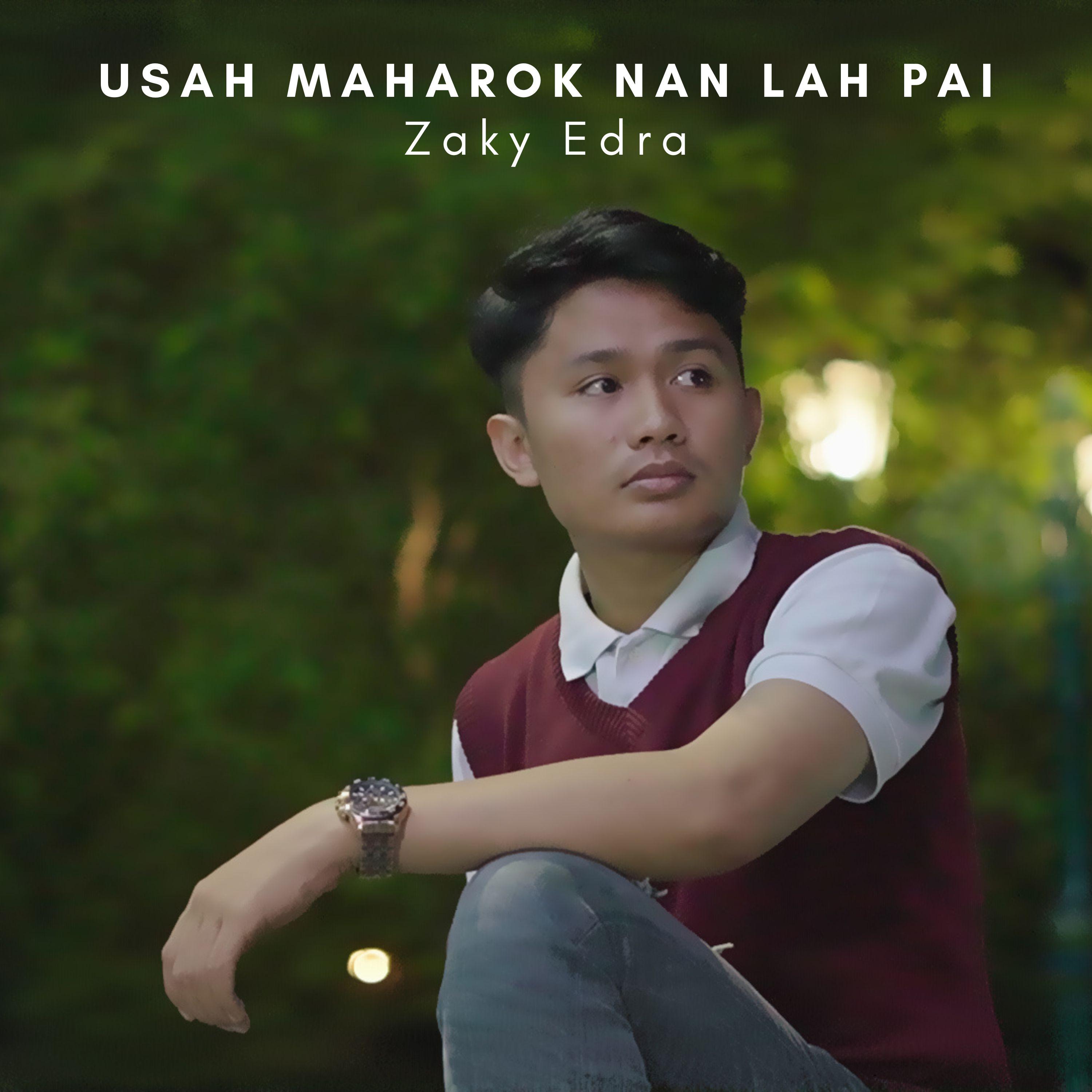 Постер альбома Usah Maharok Nan Lah Pai