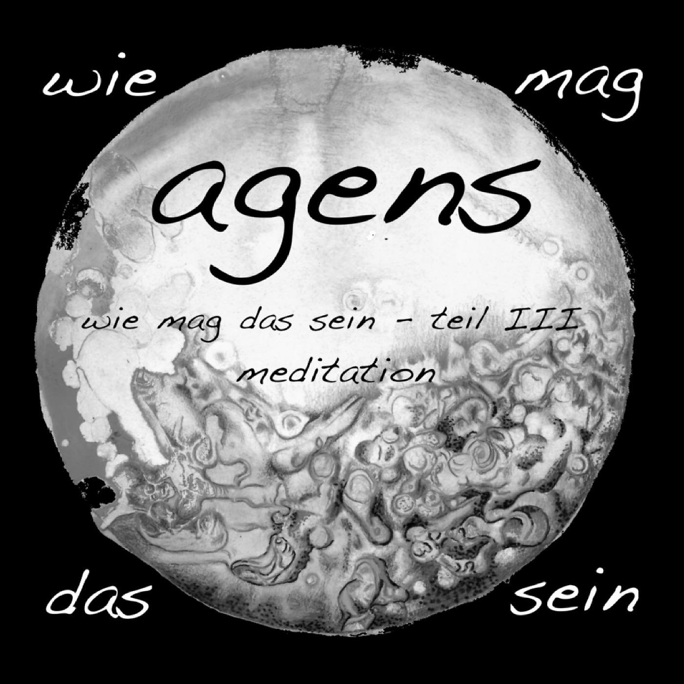 Постер альбома Wie Mag Das Sein (Teil III Meditation )