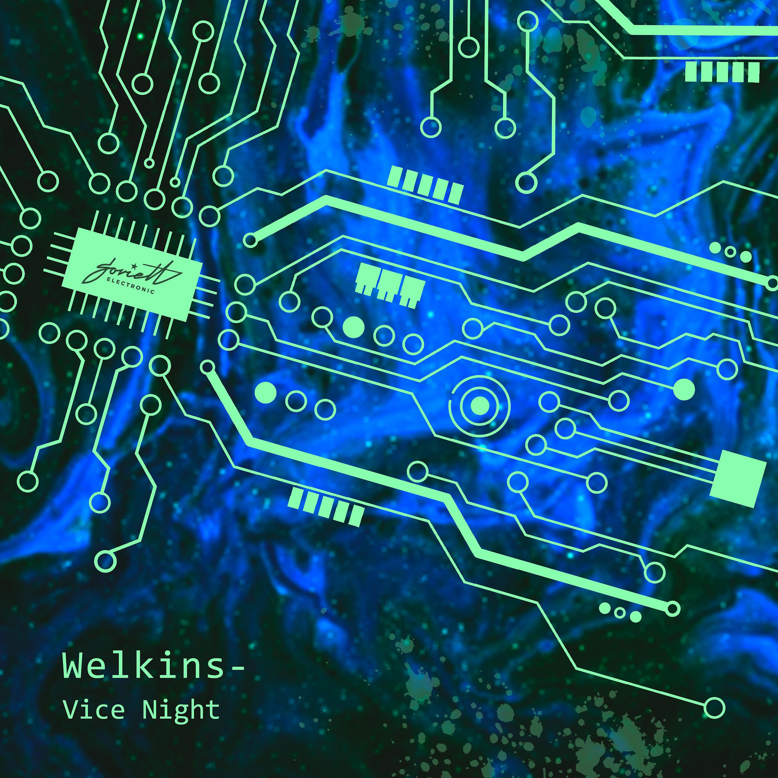Постер альбома Vice Night