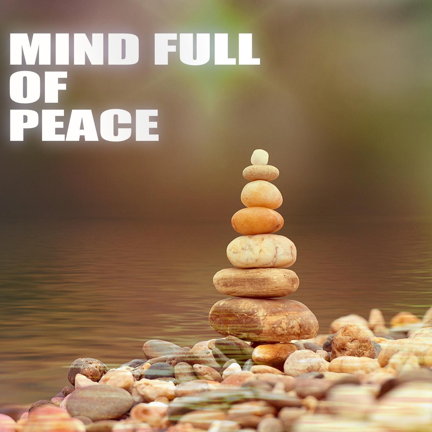 Постер альбома Mind Full of Peace