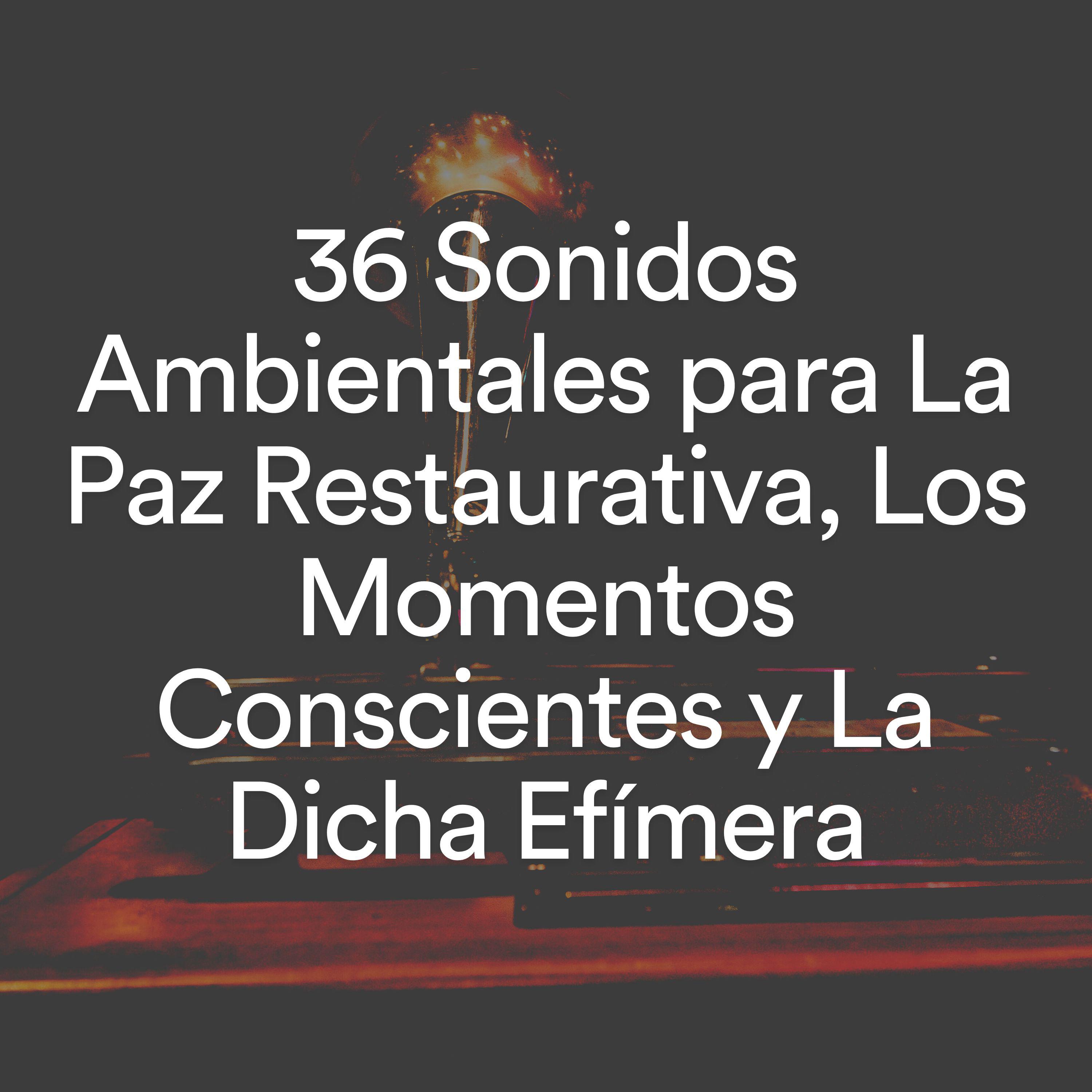 Постер альбома 36 Sonidos Ambientales para La Paz Restaurativa, Los Momentos Conscientes y La Dicha Efímera