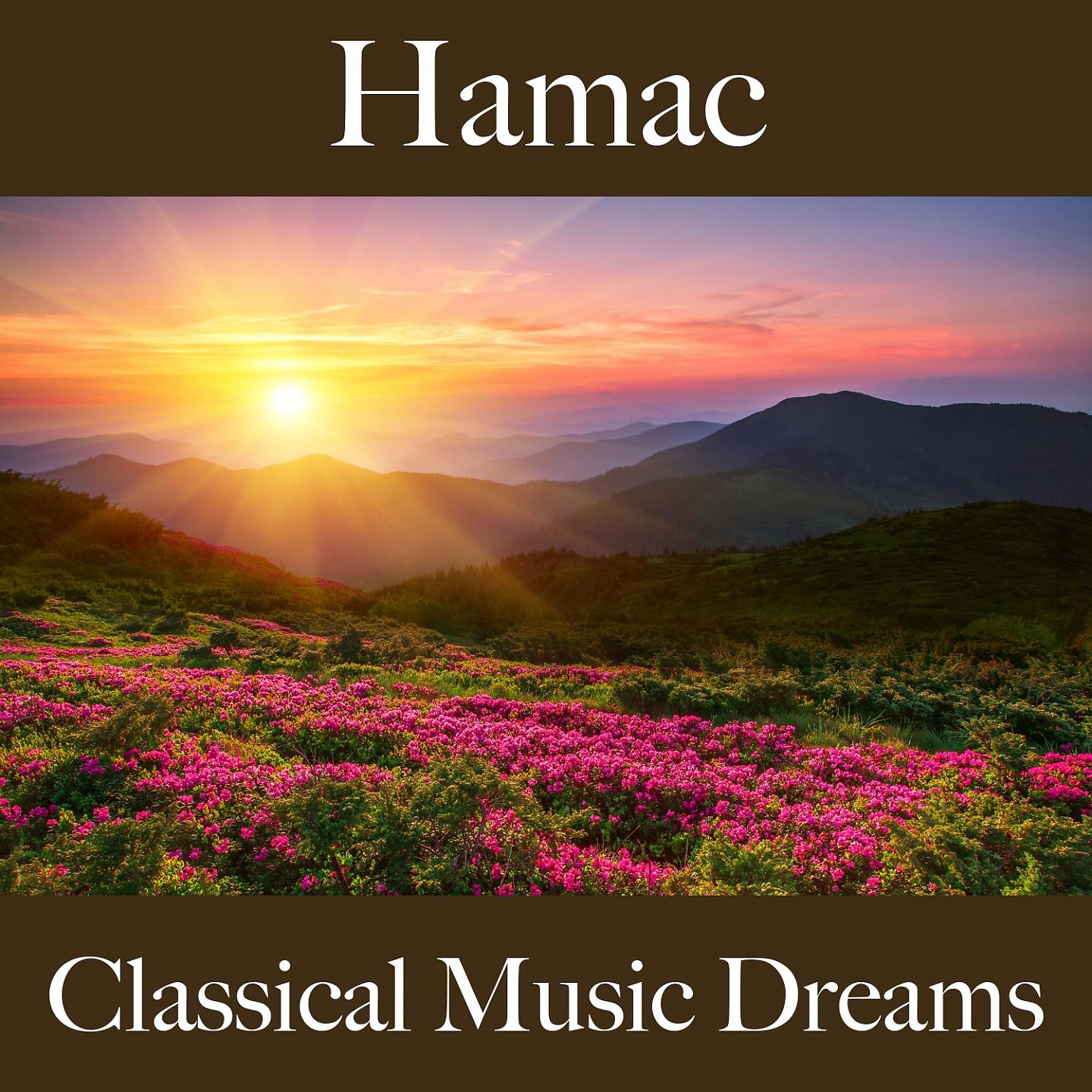 Постер альбома Hamac: Classical Music Dreams - La Meilleure Musique Pour Se Détendre