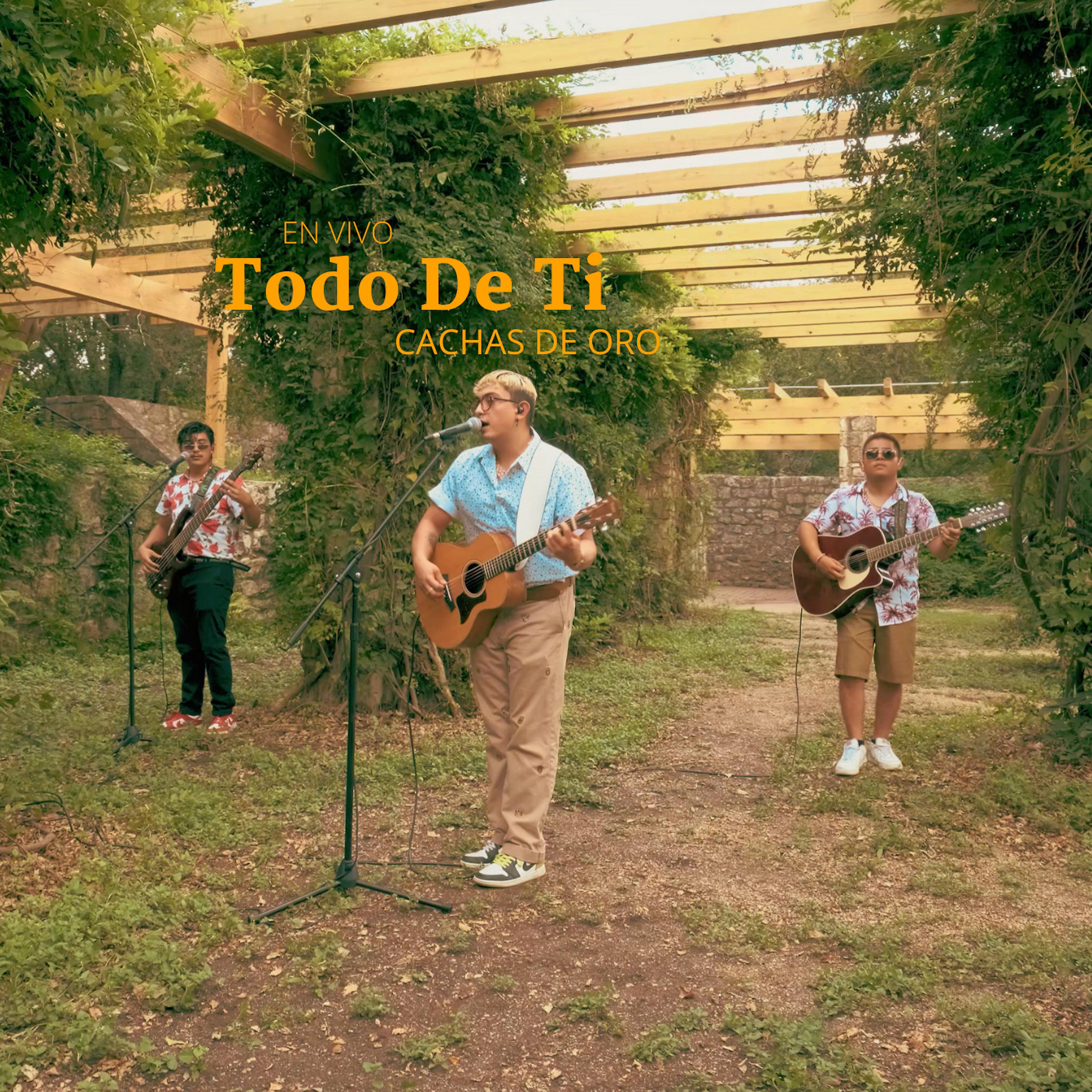 Постер альбома Todo de Ti (En Vivo)