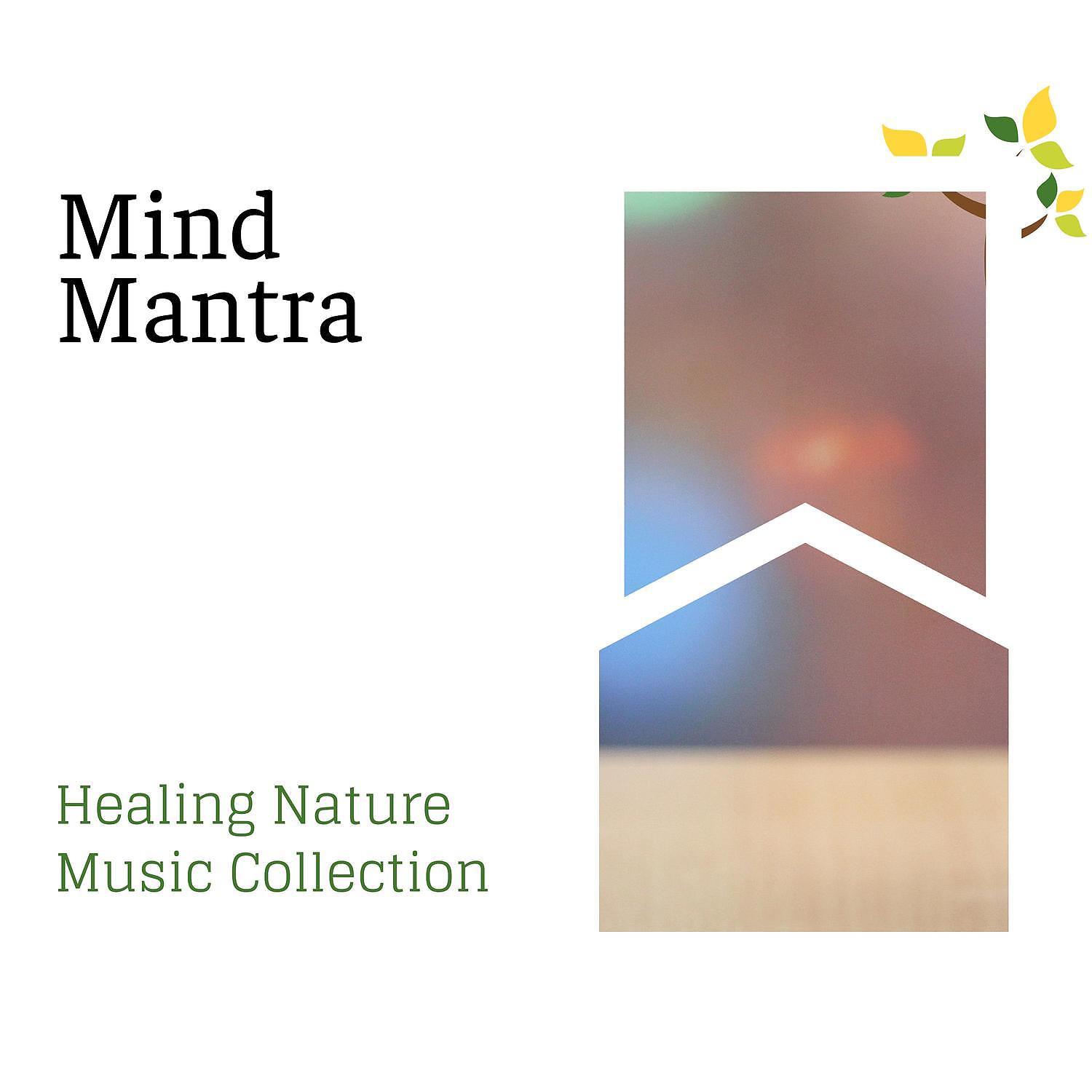 Постер альбома Mind Mantra - Healing Nature Music Collection