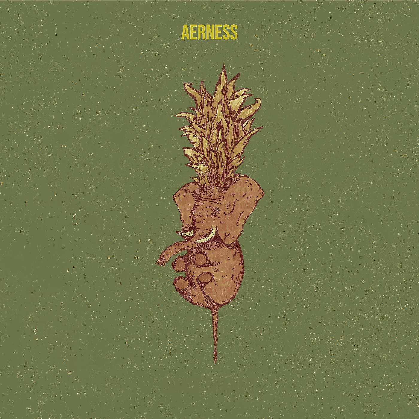 Постер альбома Aerness
