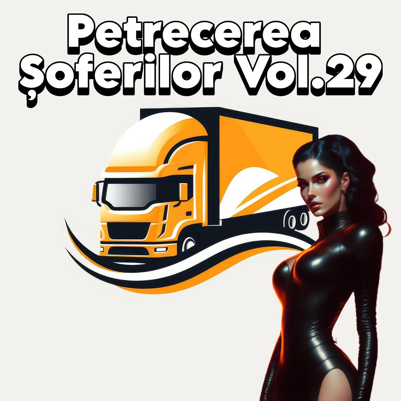 Постер альбома Petrecerea Șoferilor, Vol. 29