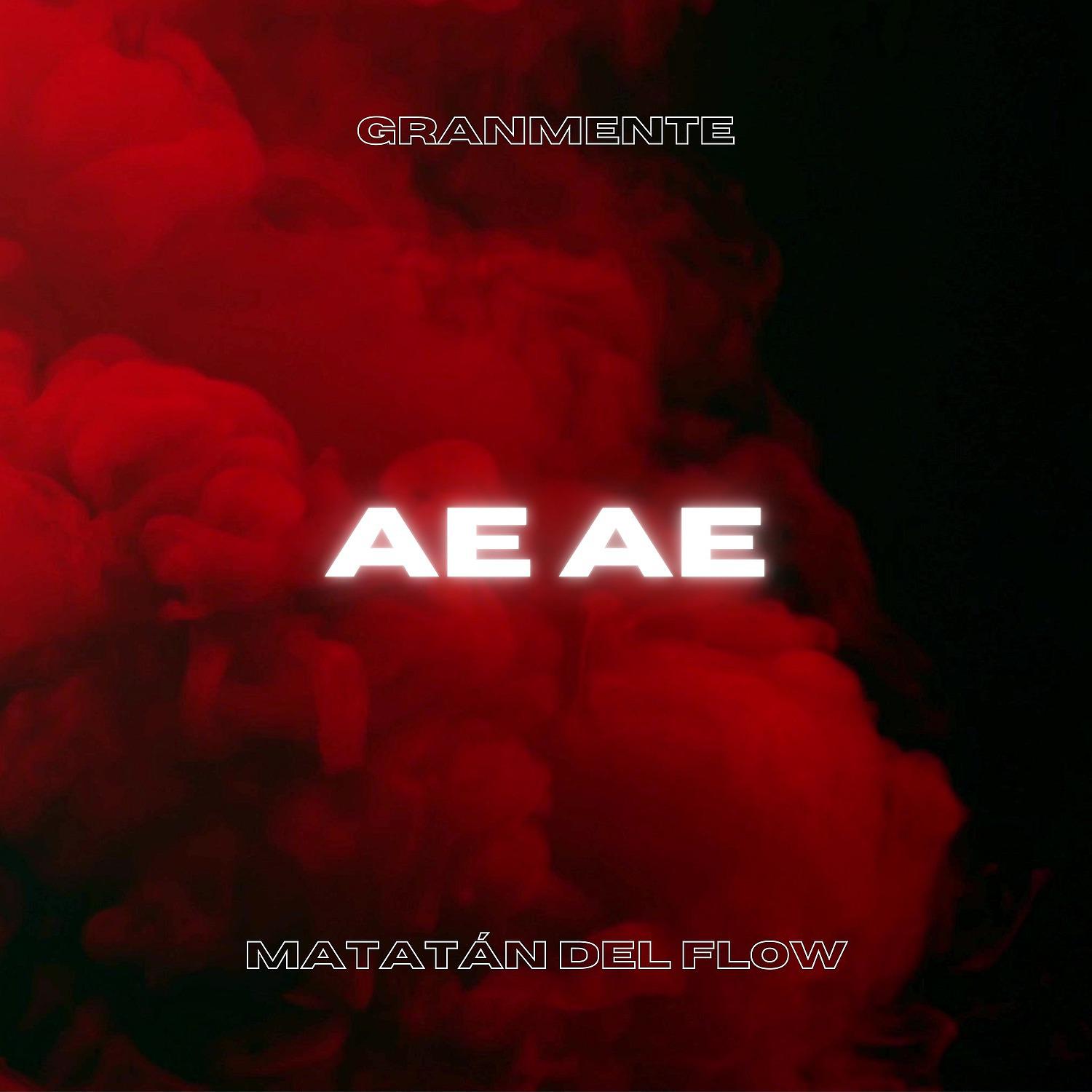 Постер альбома Ae Ae