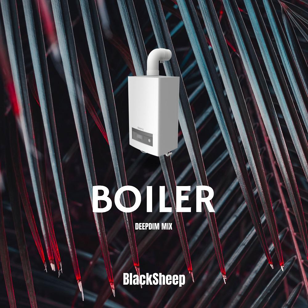 Постер альбома Boiler (Deepdim Mix)