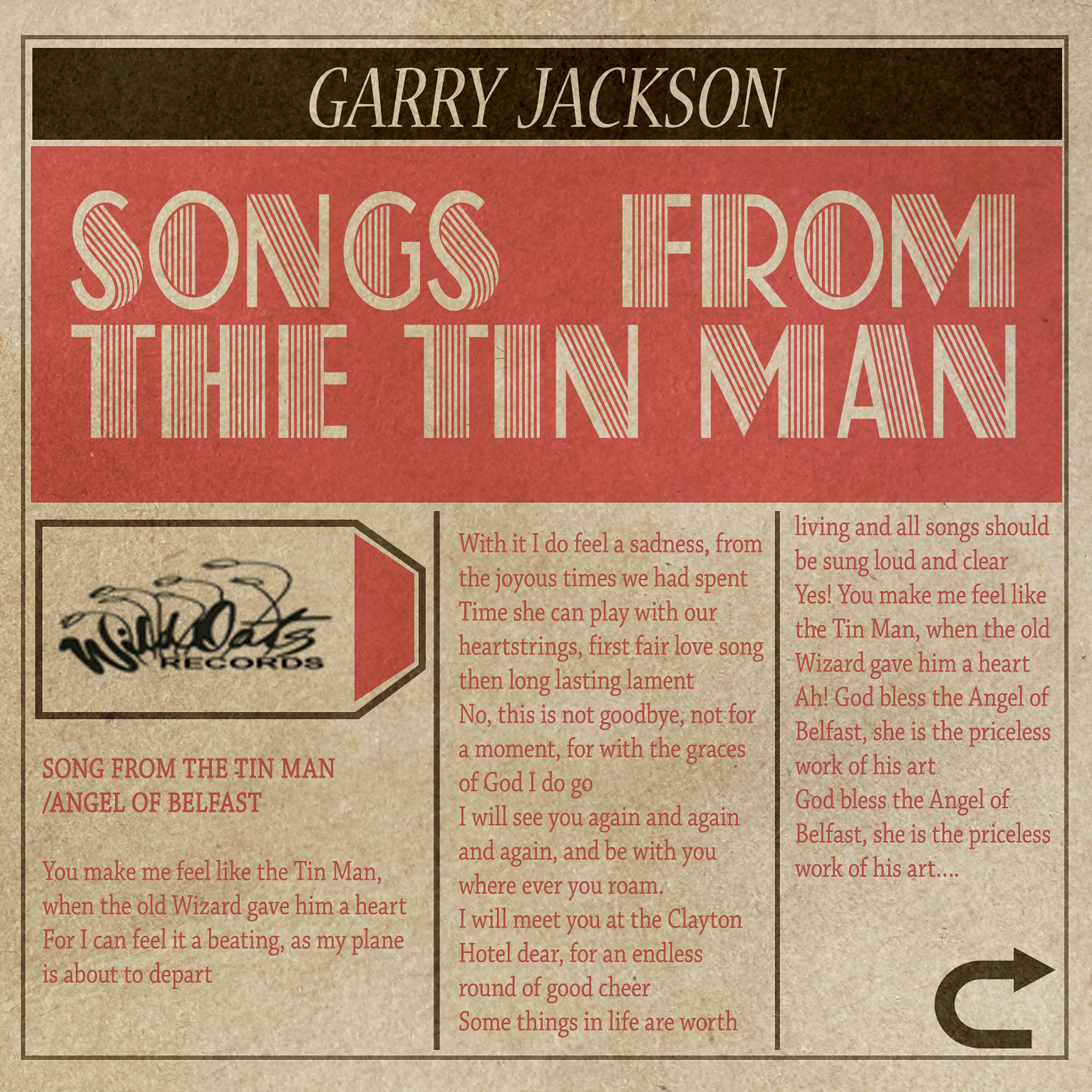 Постер альбома Songs from the Tin Man