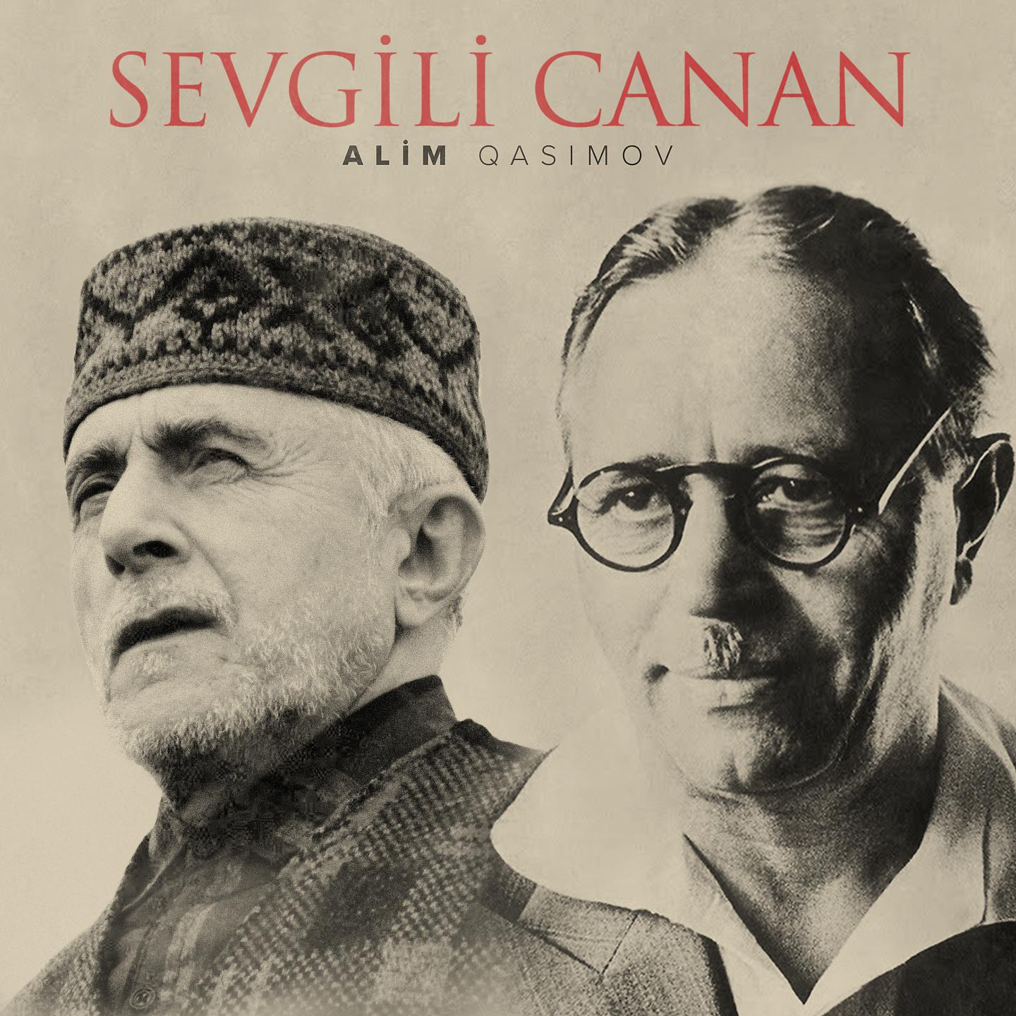 Постер альбома Sevgili Canan