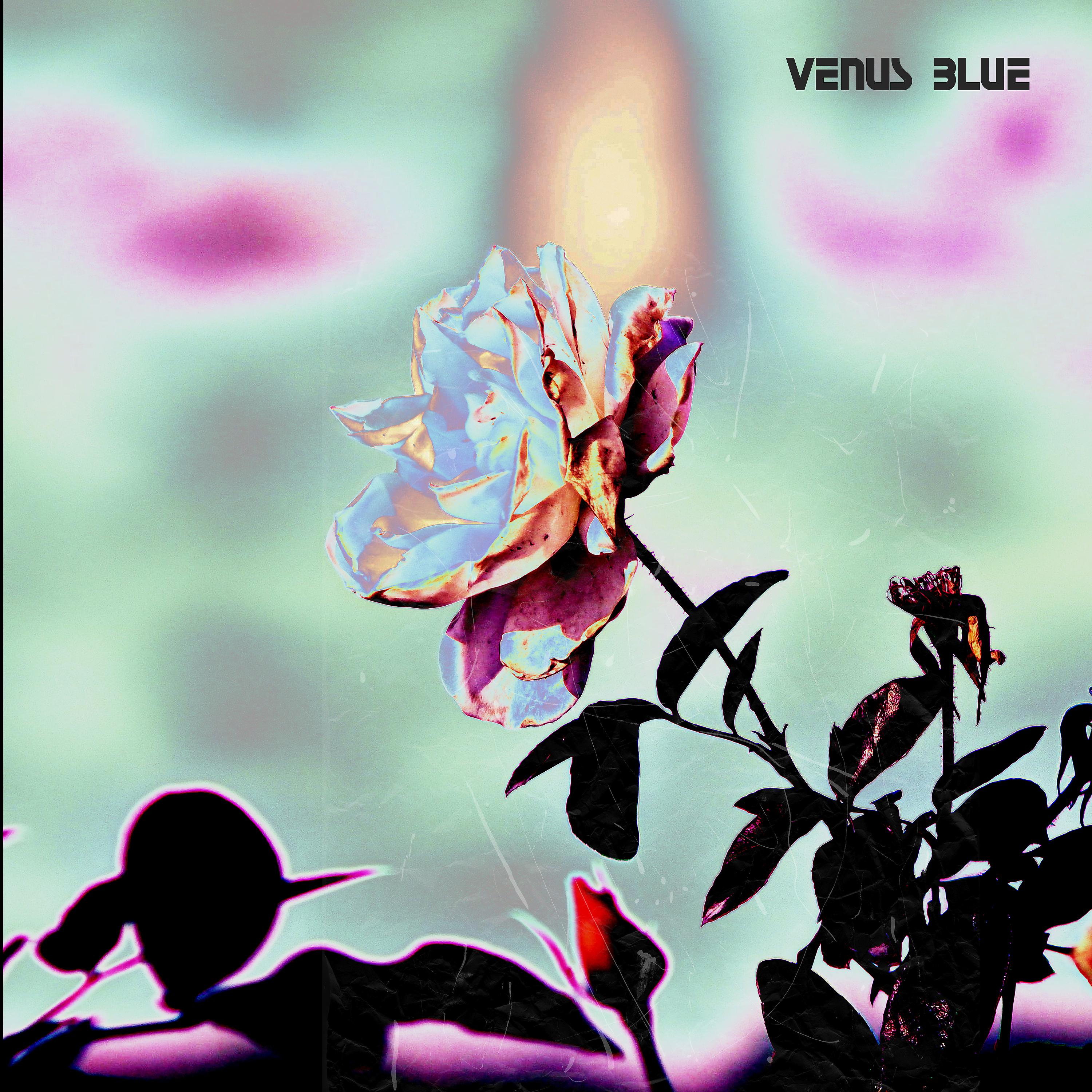 Постер альбома Venus Blue