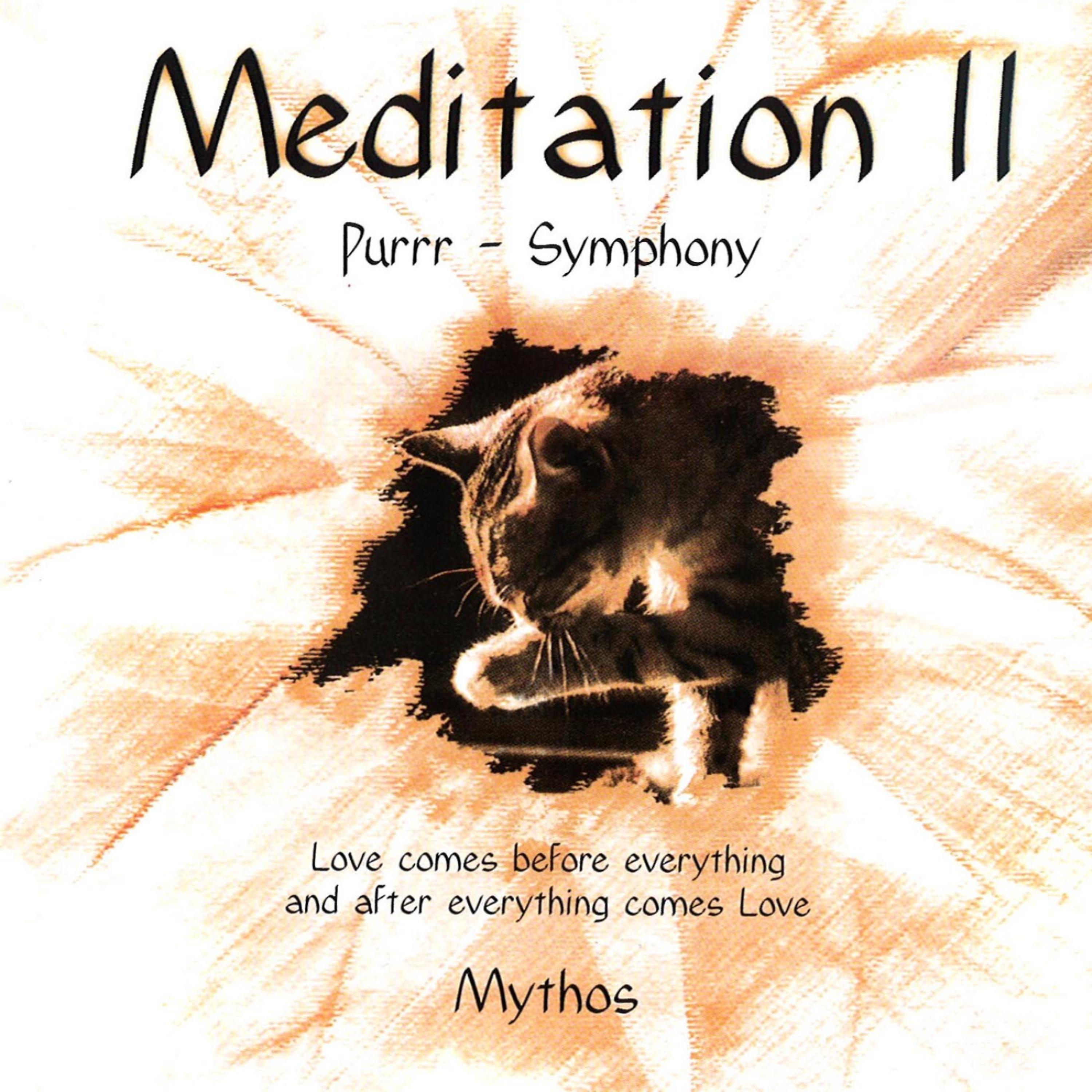 Постер альбома Meditation II