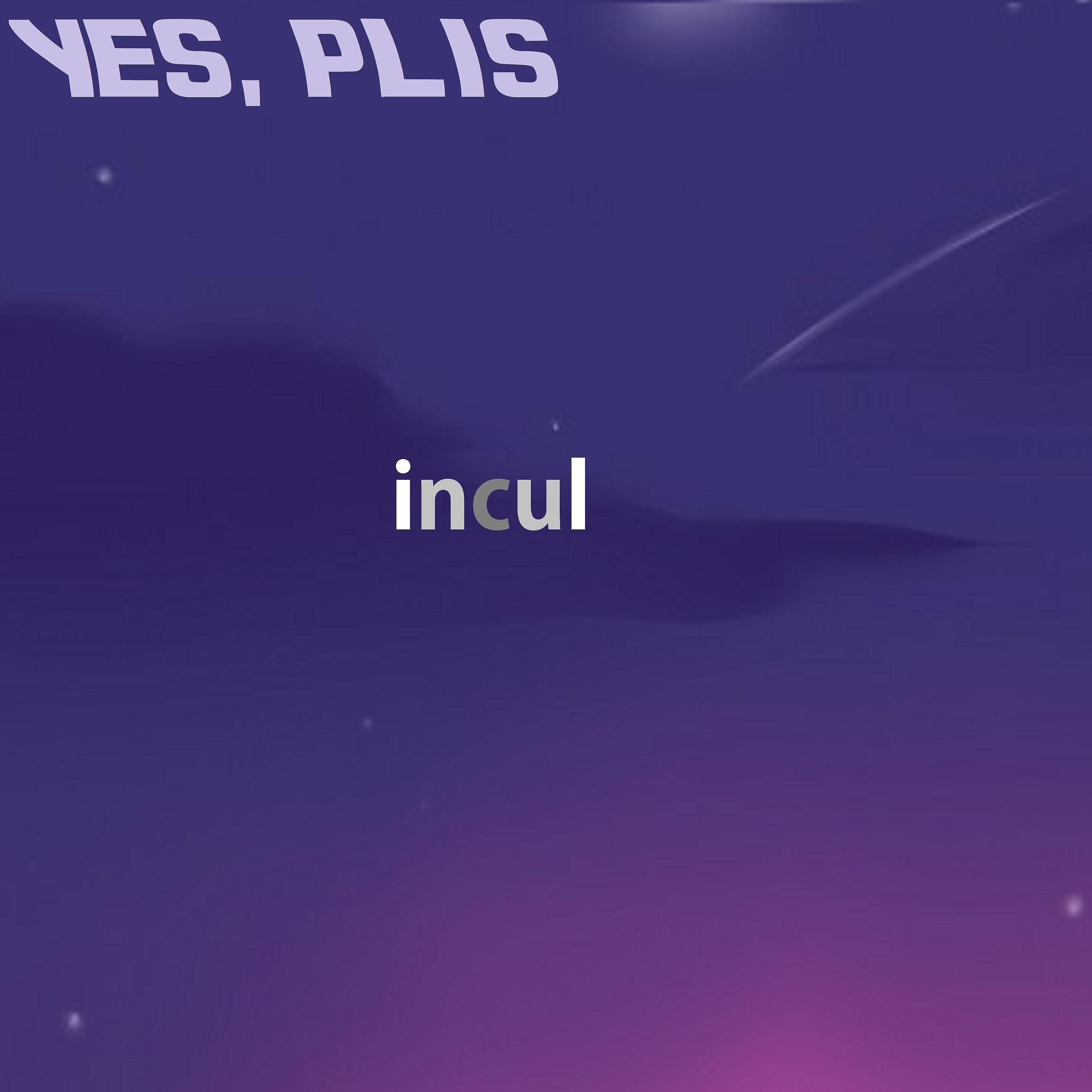 Постер альбома Incul