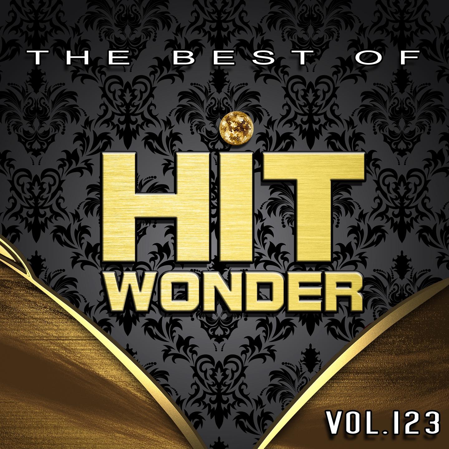 Постер альбома Hit Wonder: The Best of, Vol. 123