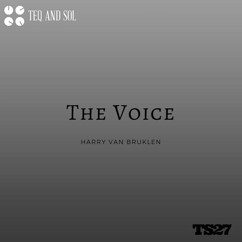 Постер альбома The Voice (Harry Goes To Bruklen Mix)