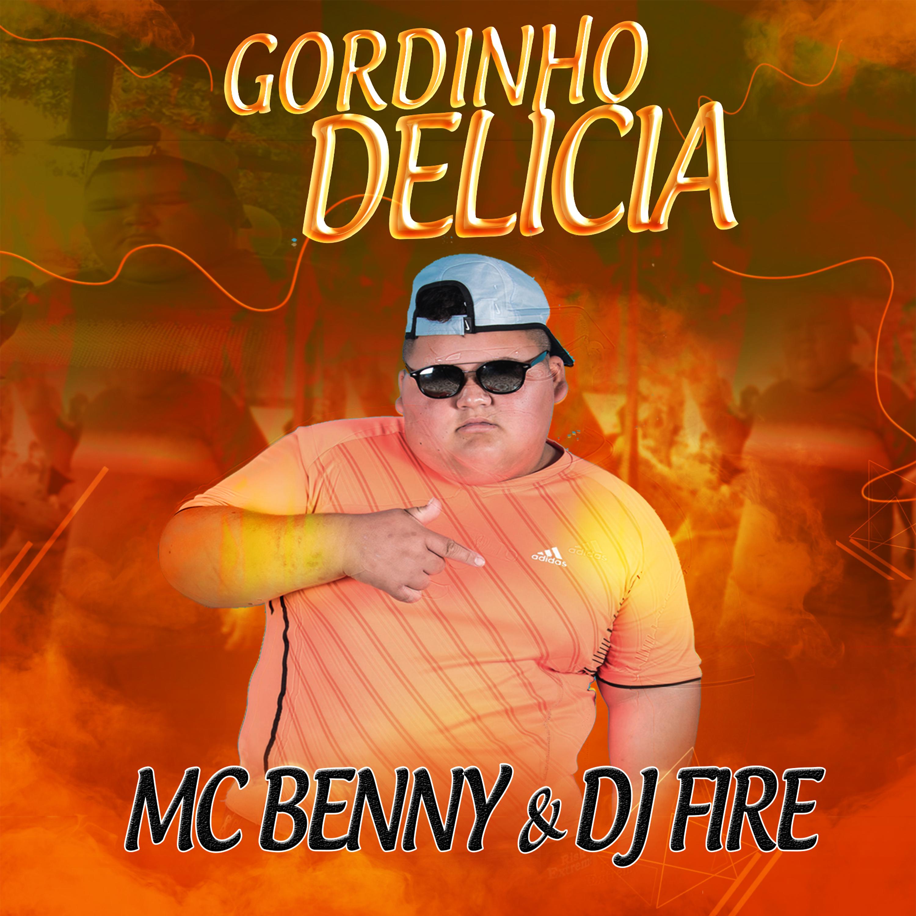 Постер альбома Gordinho Delicia