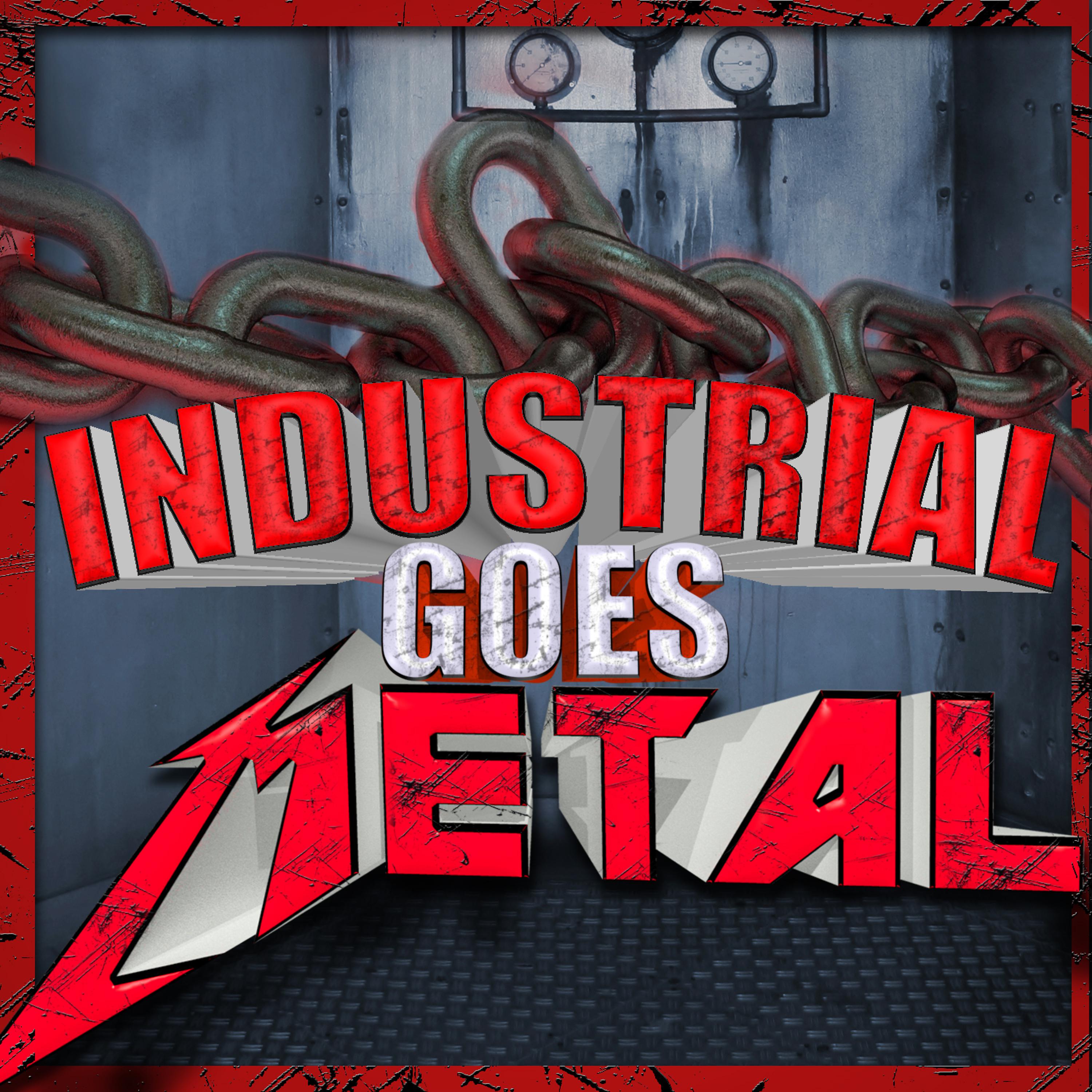 Постер альбома Industrial Goes Metal