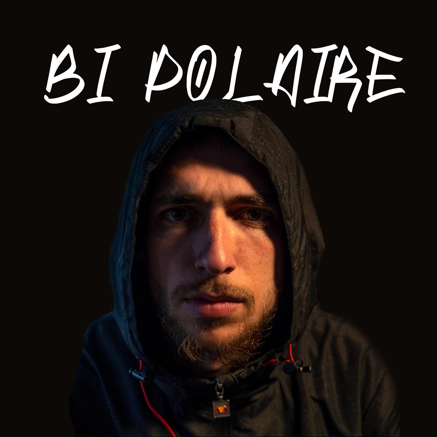 Постер альбома Bipolaire