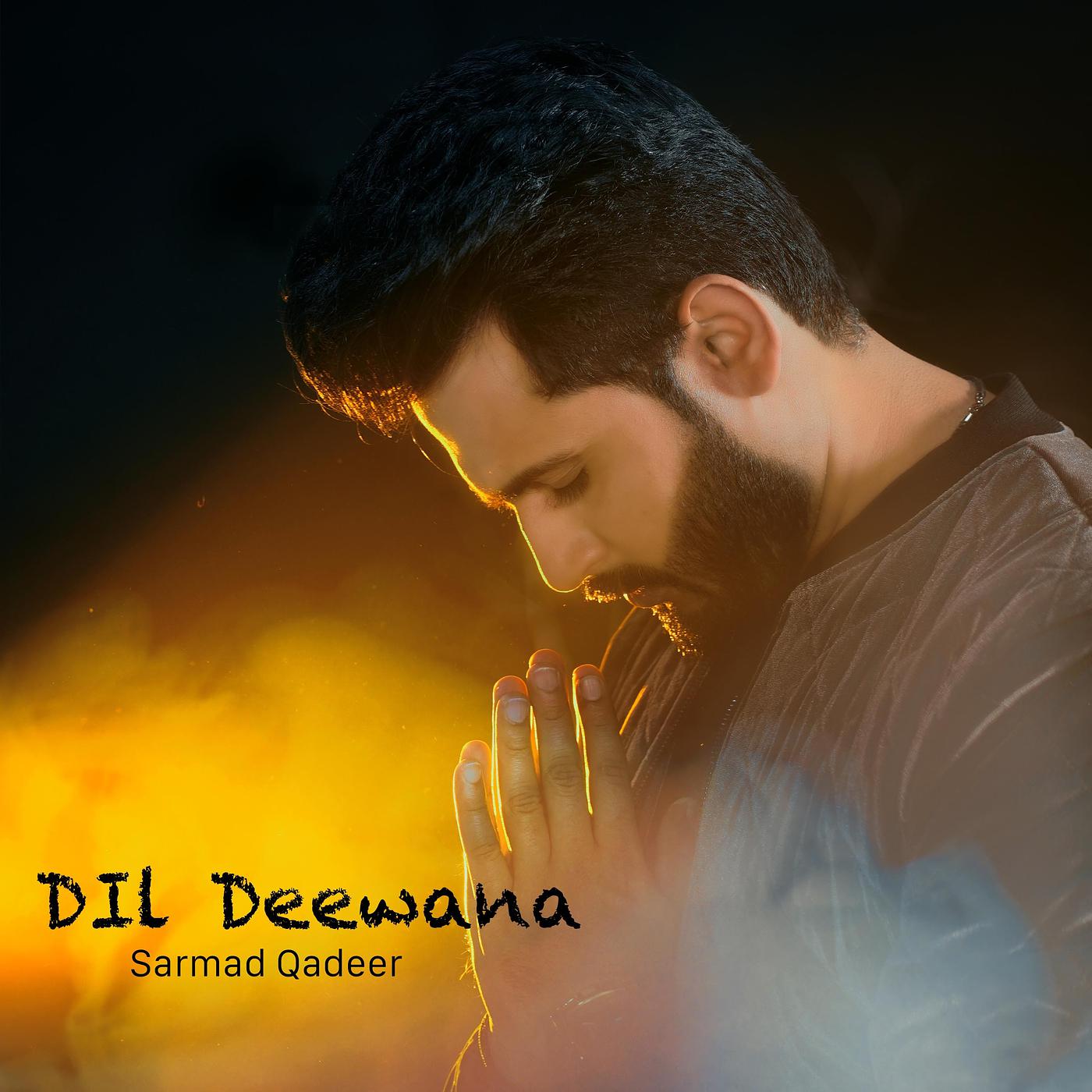 Постер альбома Dil Deewana