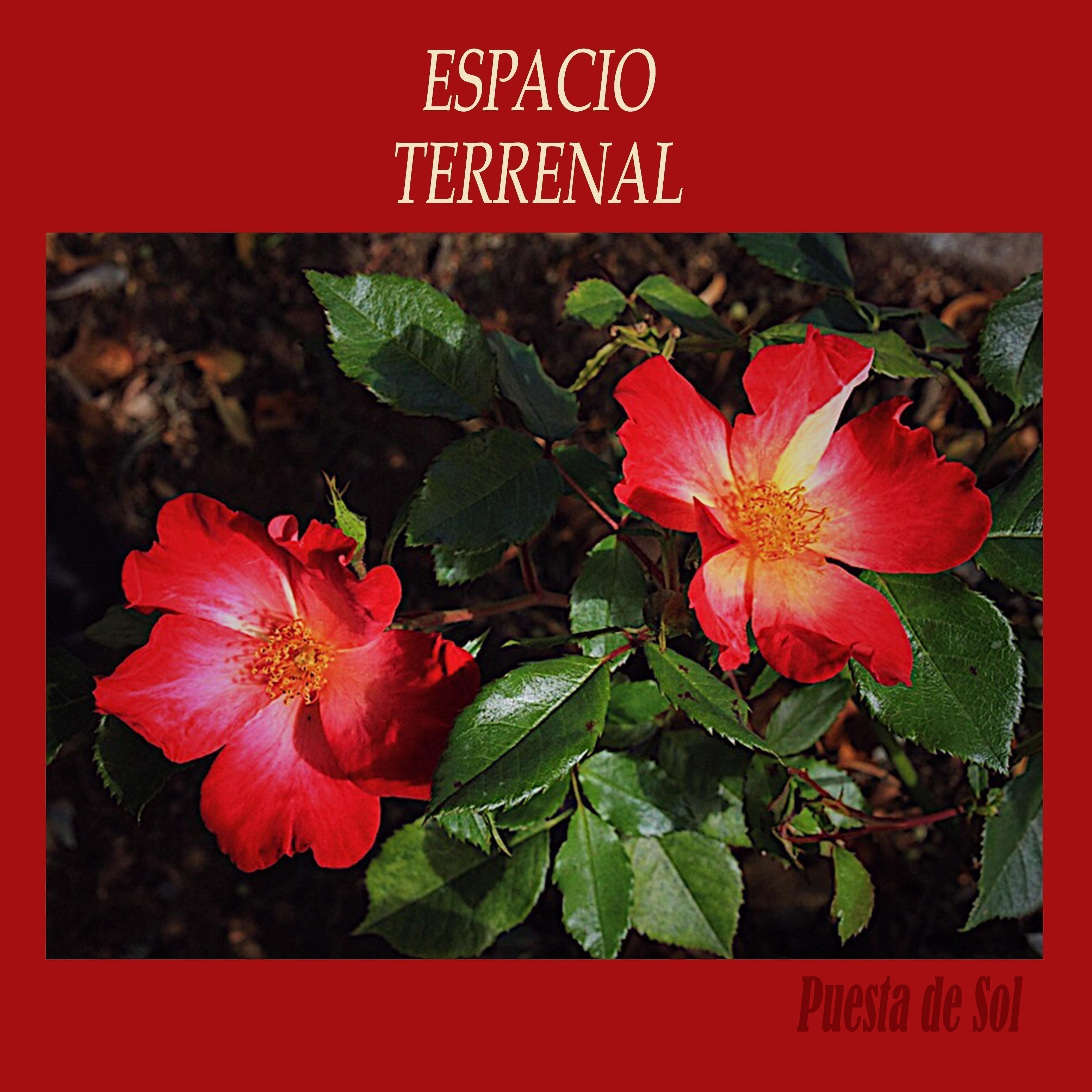 Постер альбома Espacio Terrenal