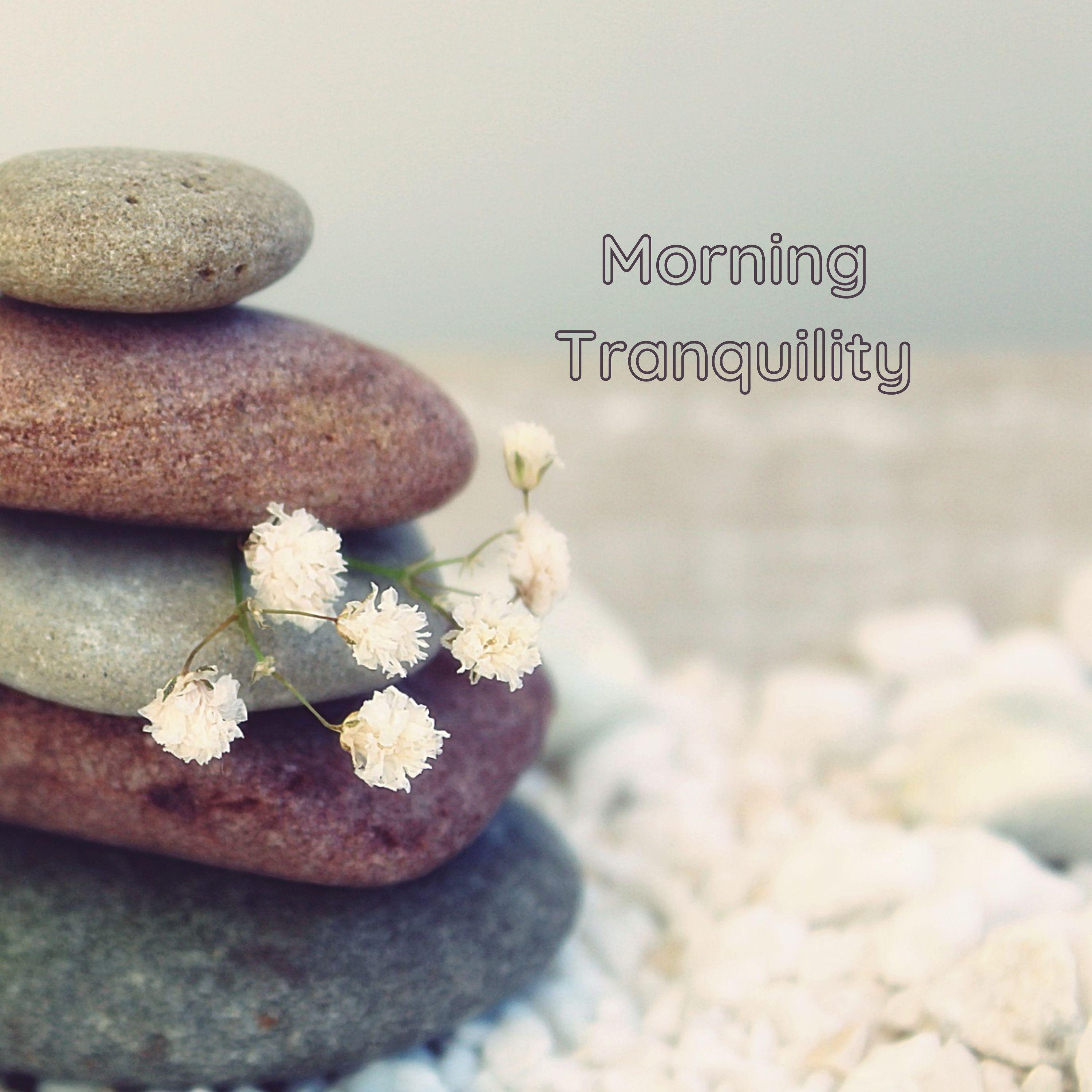 Постер альбома Morning Tranquility