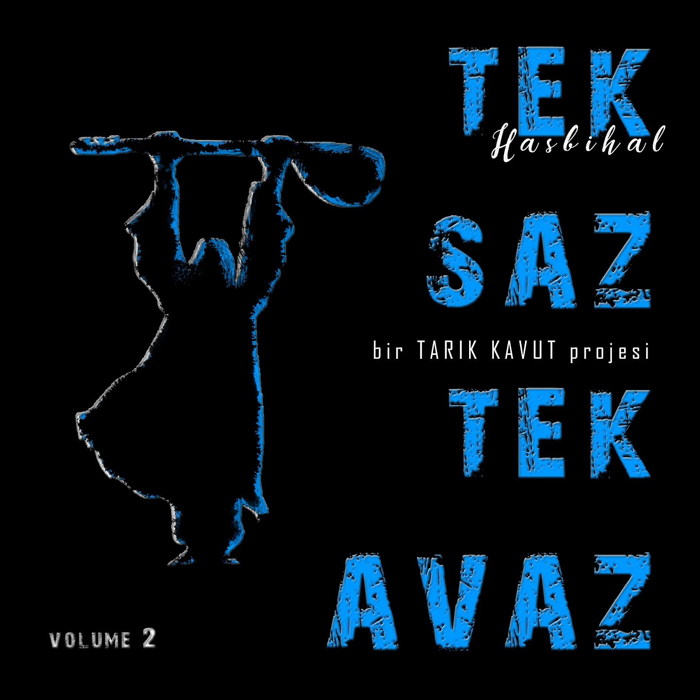 Постер альбома Tek Saz Tek Avaz, Vol. 2