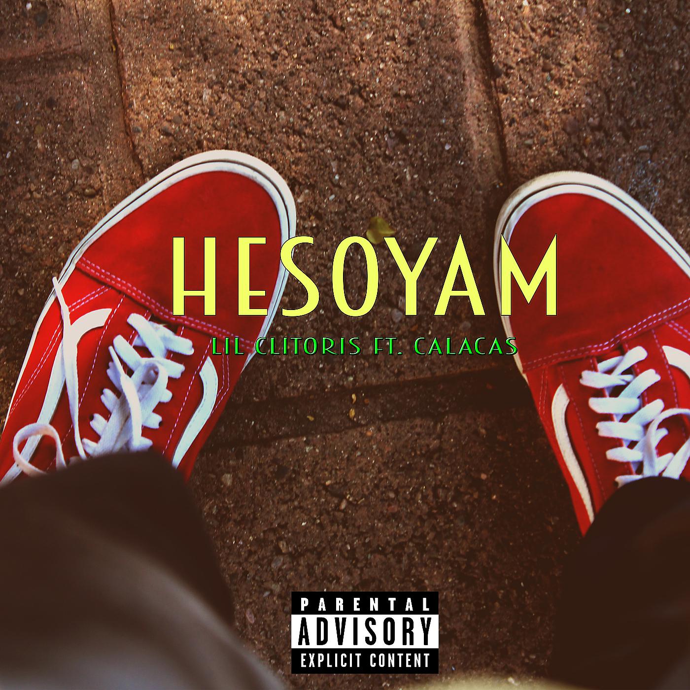 Постер альбома Hesoyam