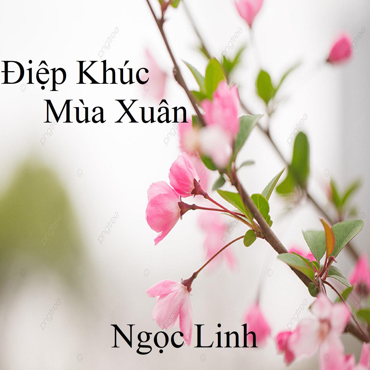 Постер альбома Điệp Khúc Mùa Xuân