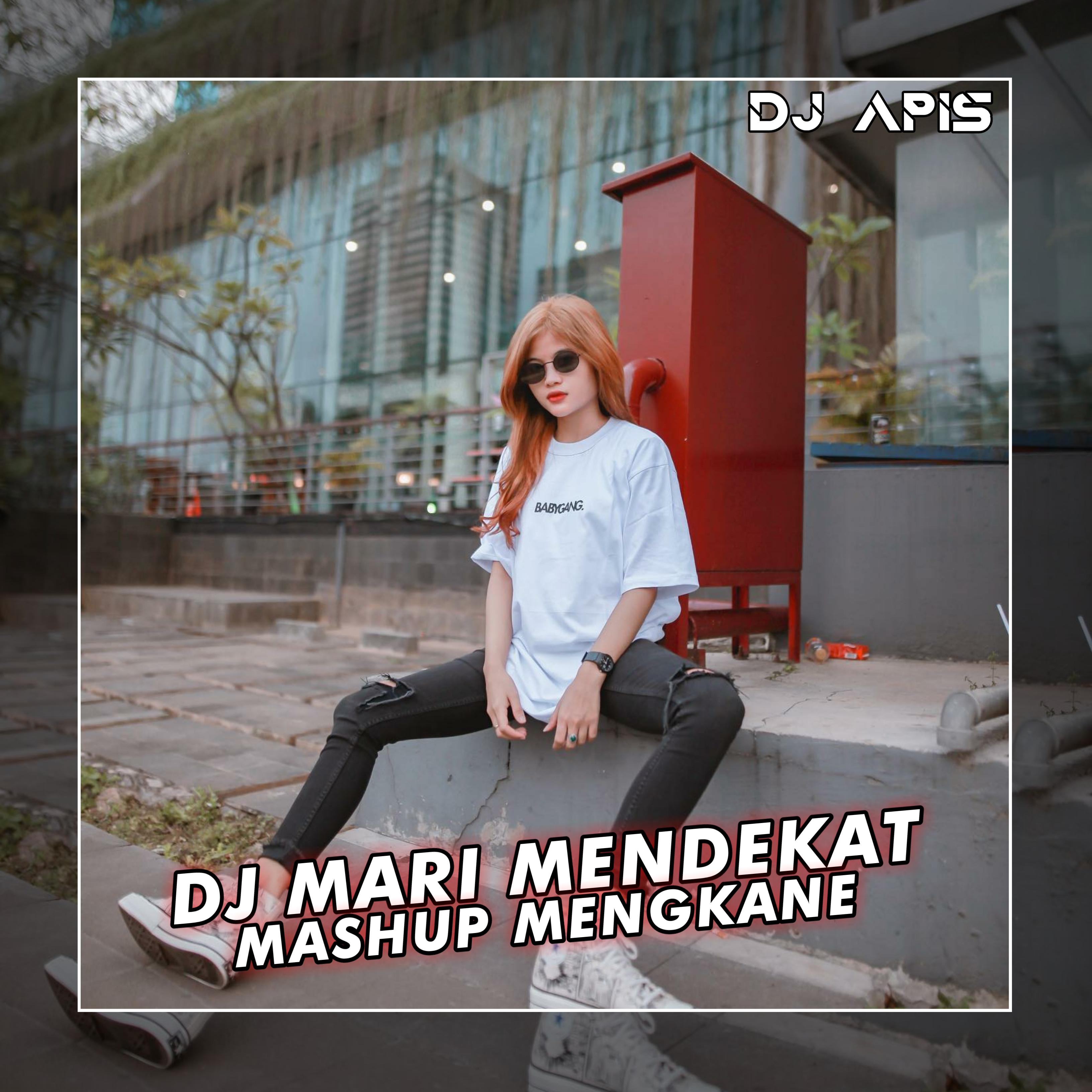 Постер альбома DJ Mari Mendekat Mashup Mengkane
