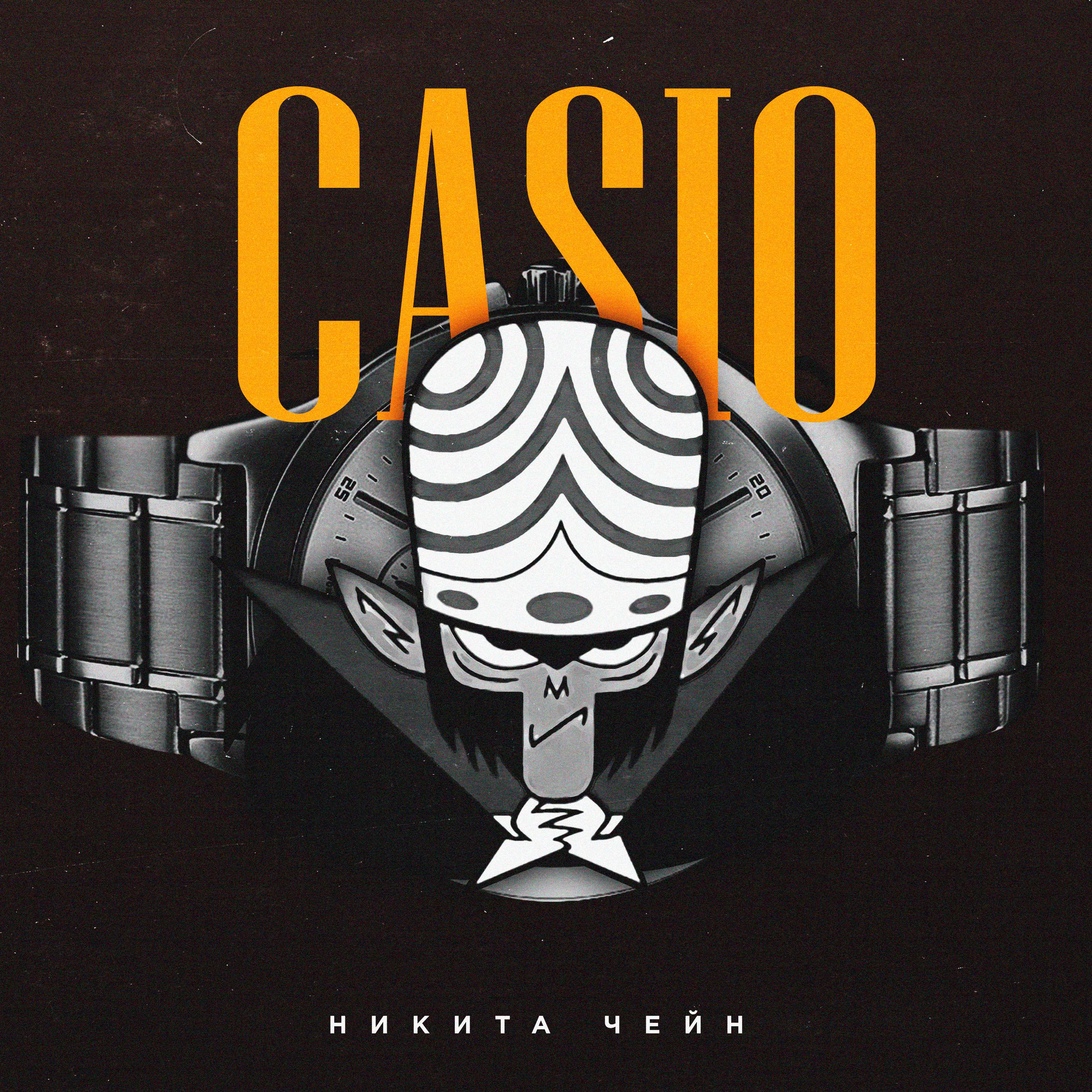 Постер альбома Casio