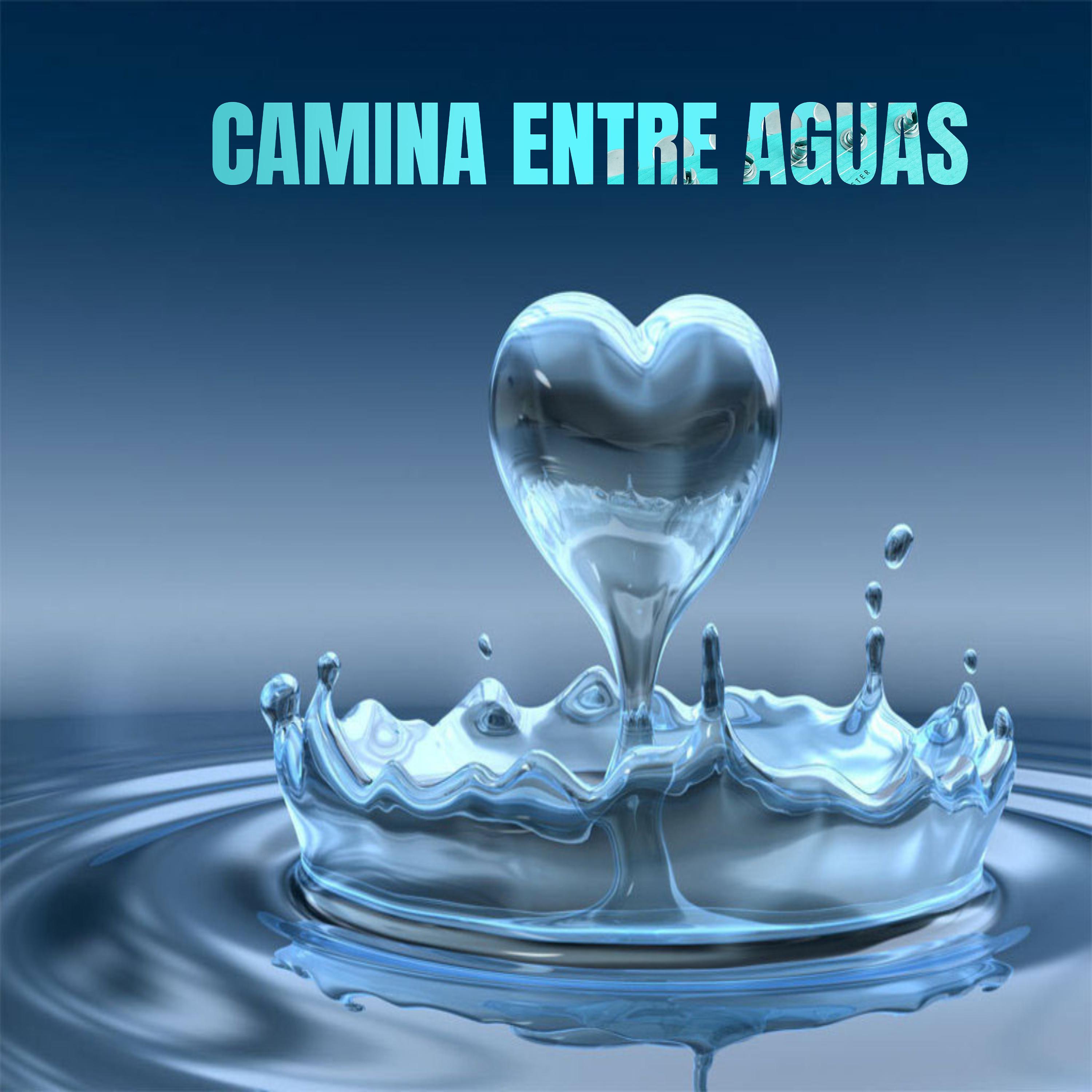 Постер альбома Camina entre aguas