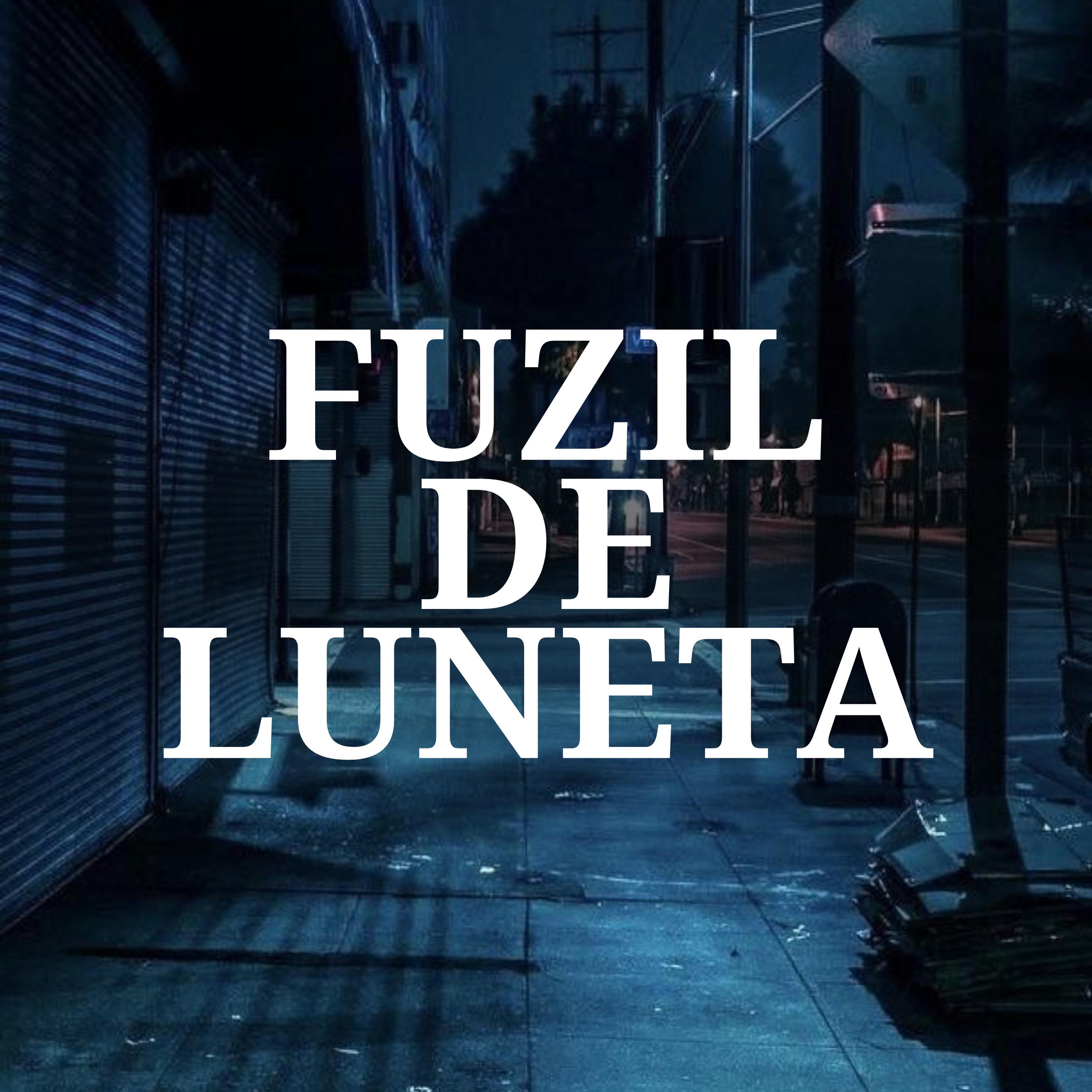 Постер альбома Fuzil de Luneta