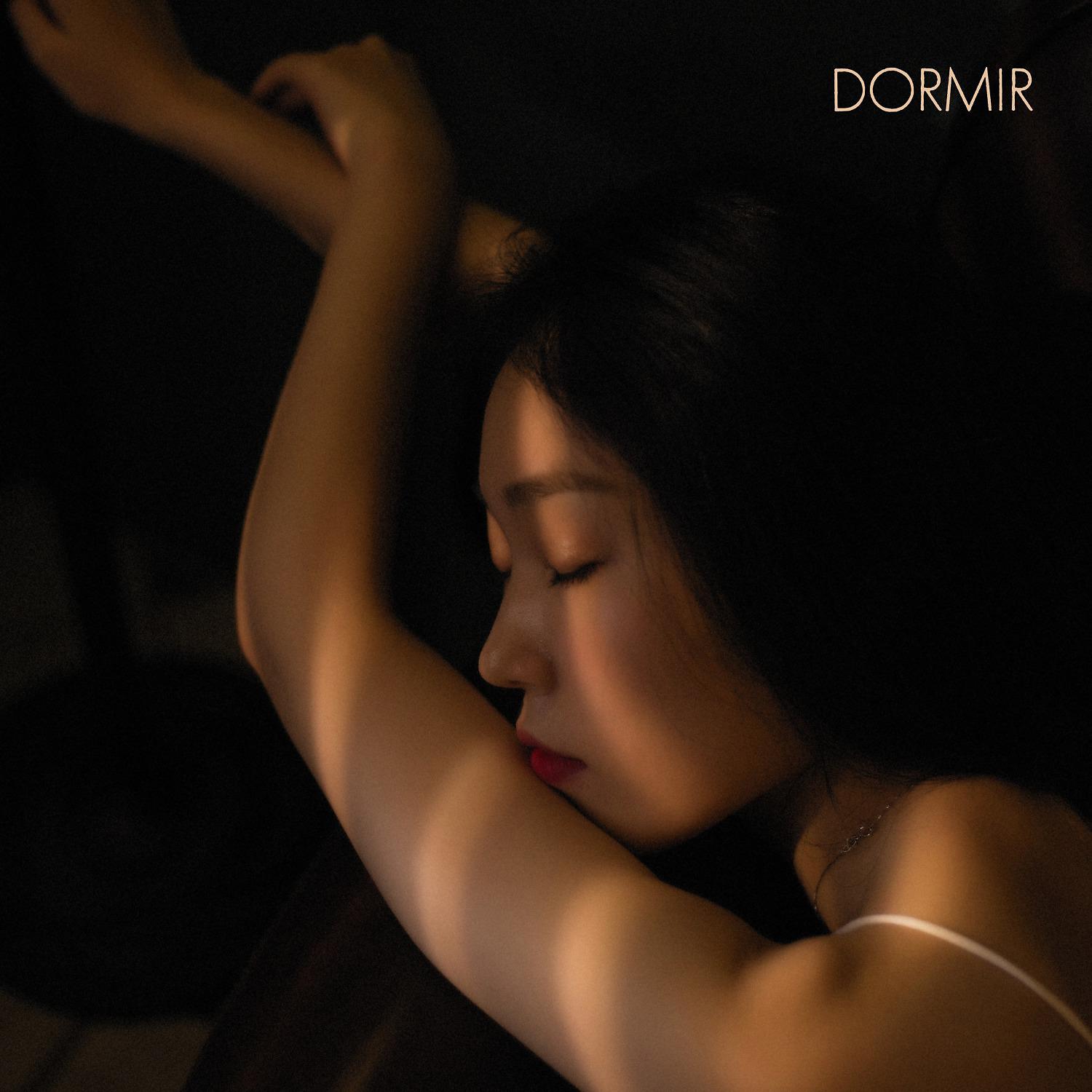 Постер альбома Dormir