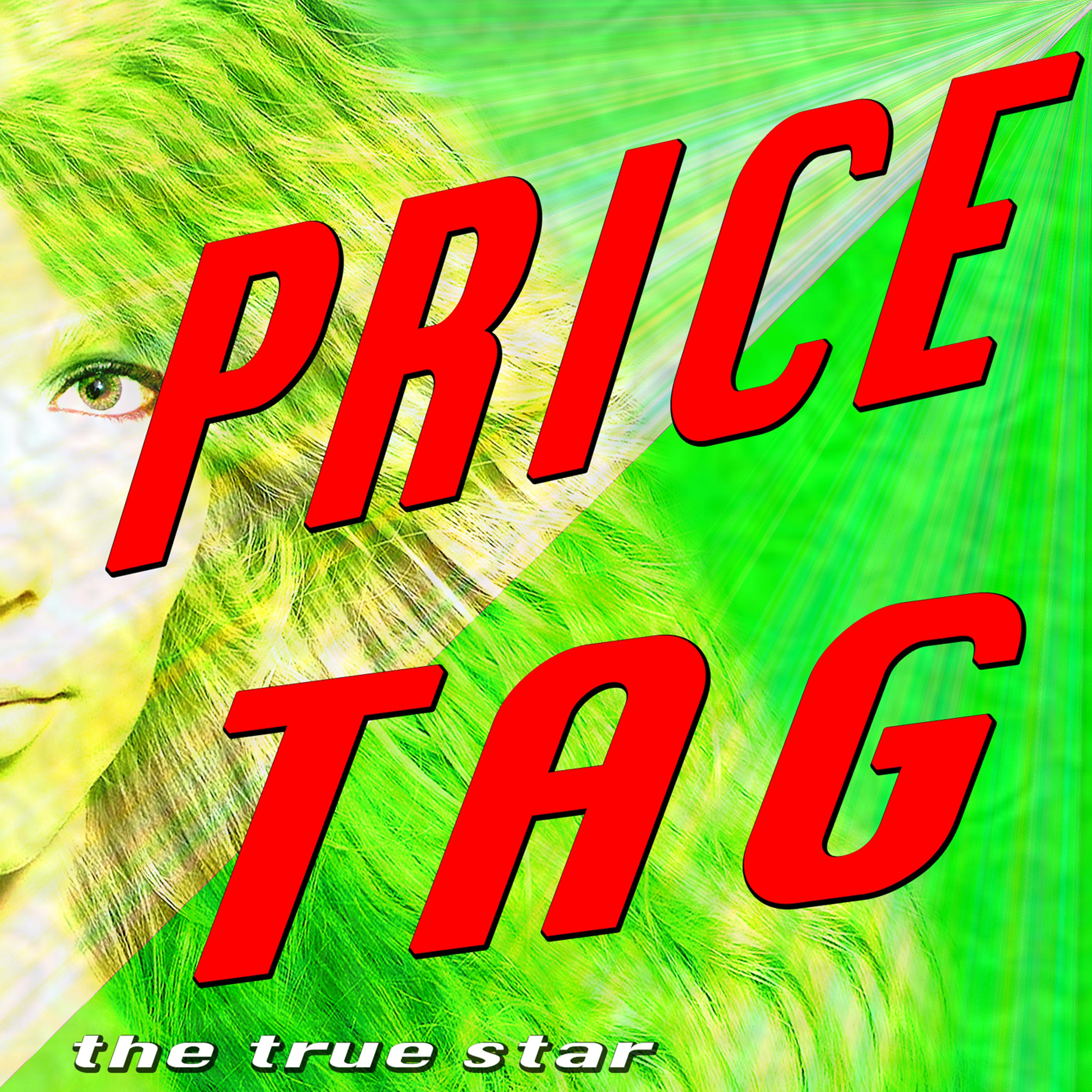 Постер альбома Price Tag (Jessie J Tribute)