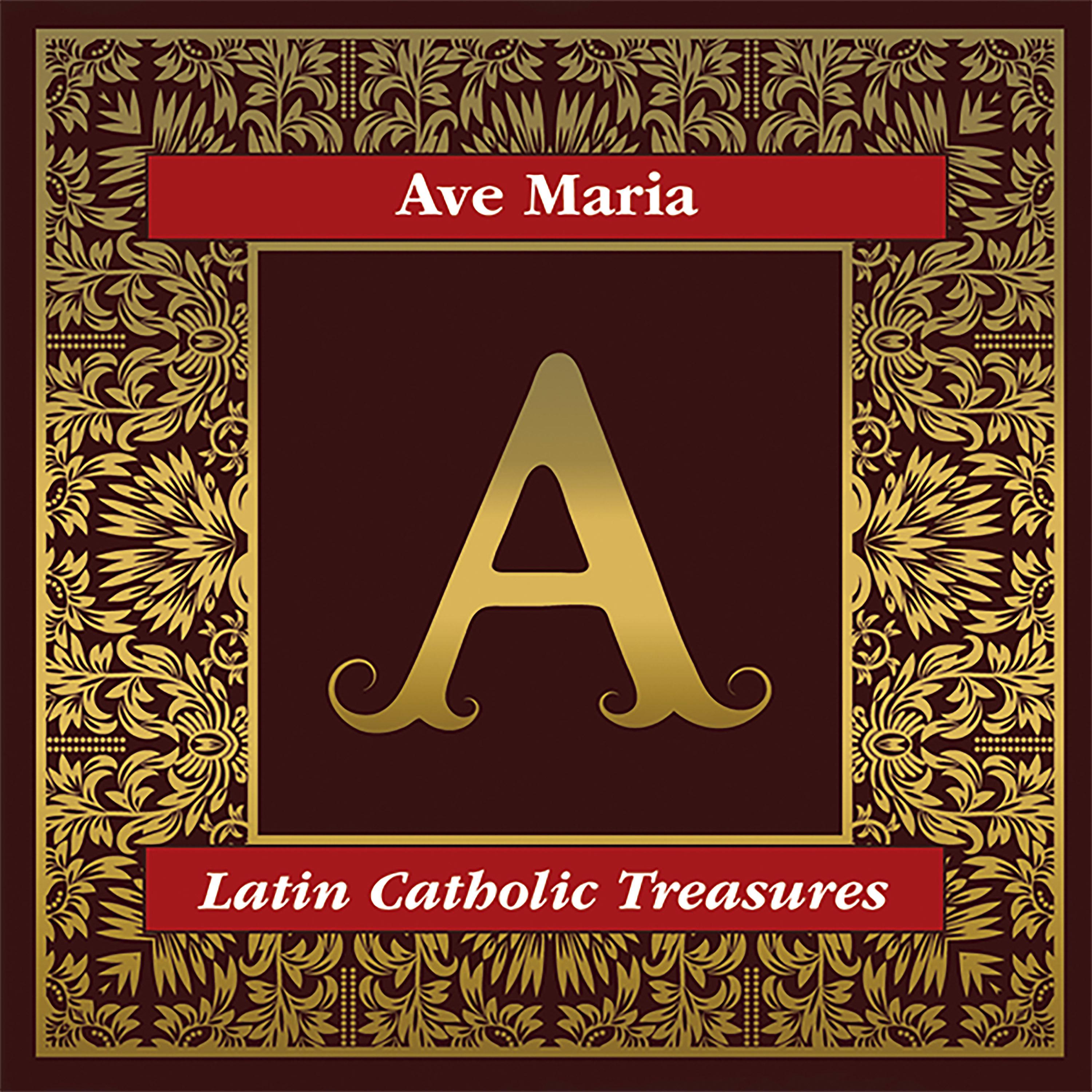 Постер альбома Ave Maria: Latin Catholic Treasures
