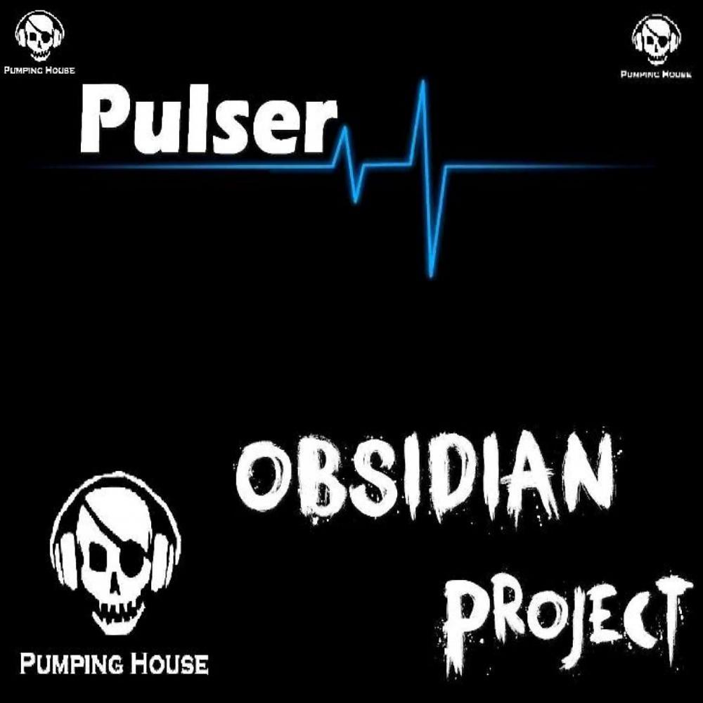 Постер альбома Pulser
