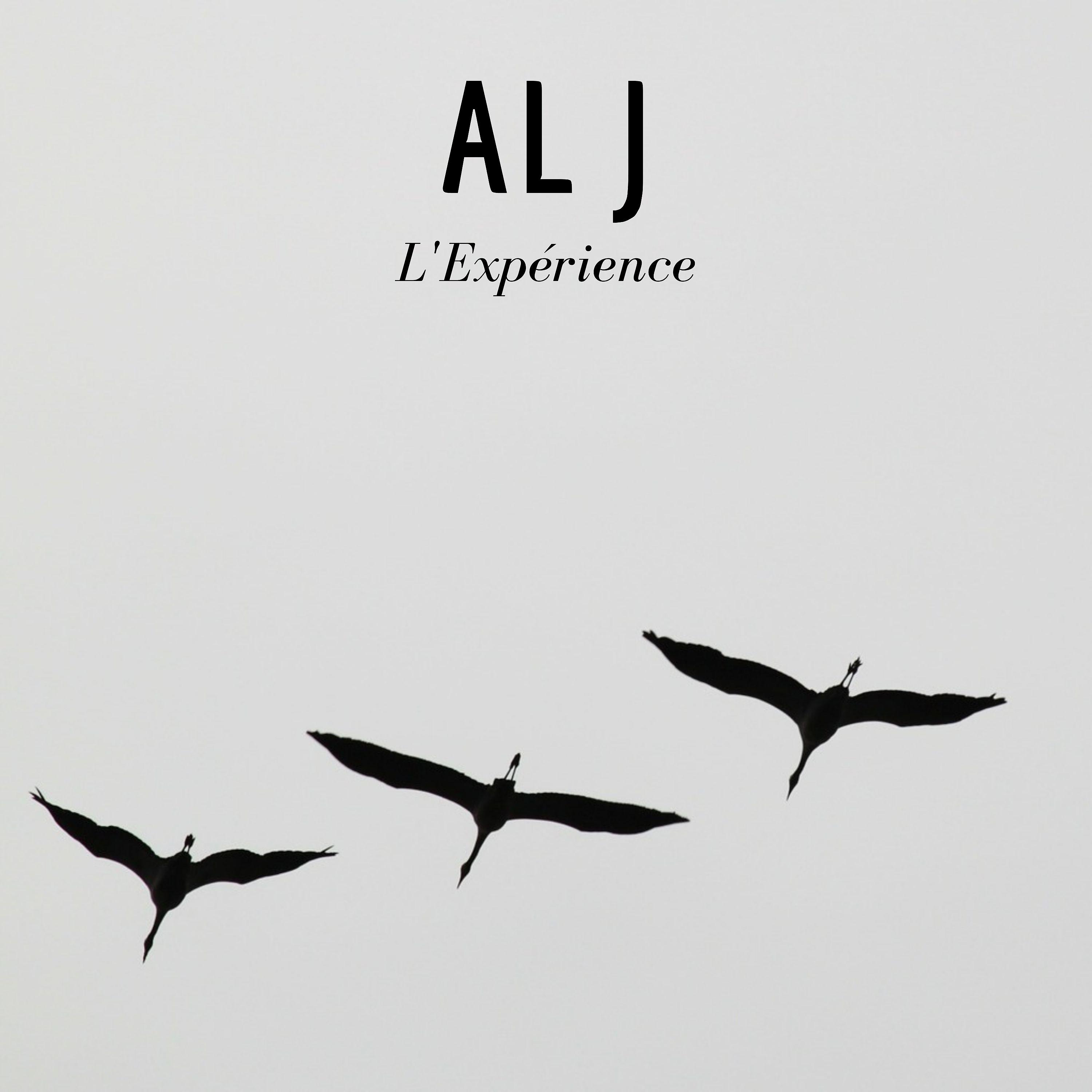 Постер альбома L'expérience