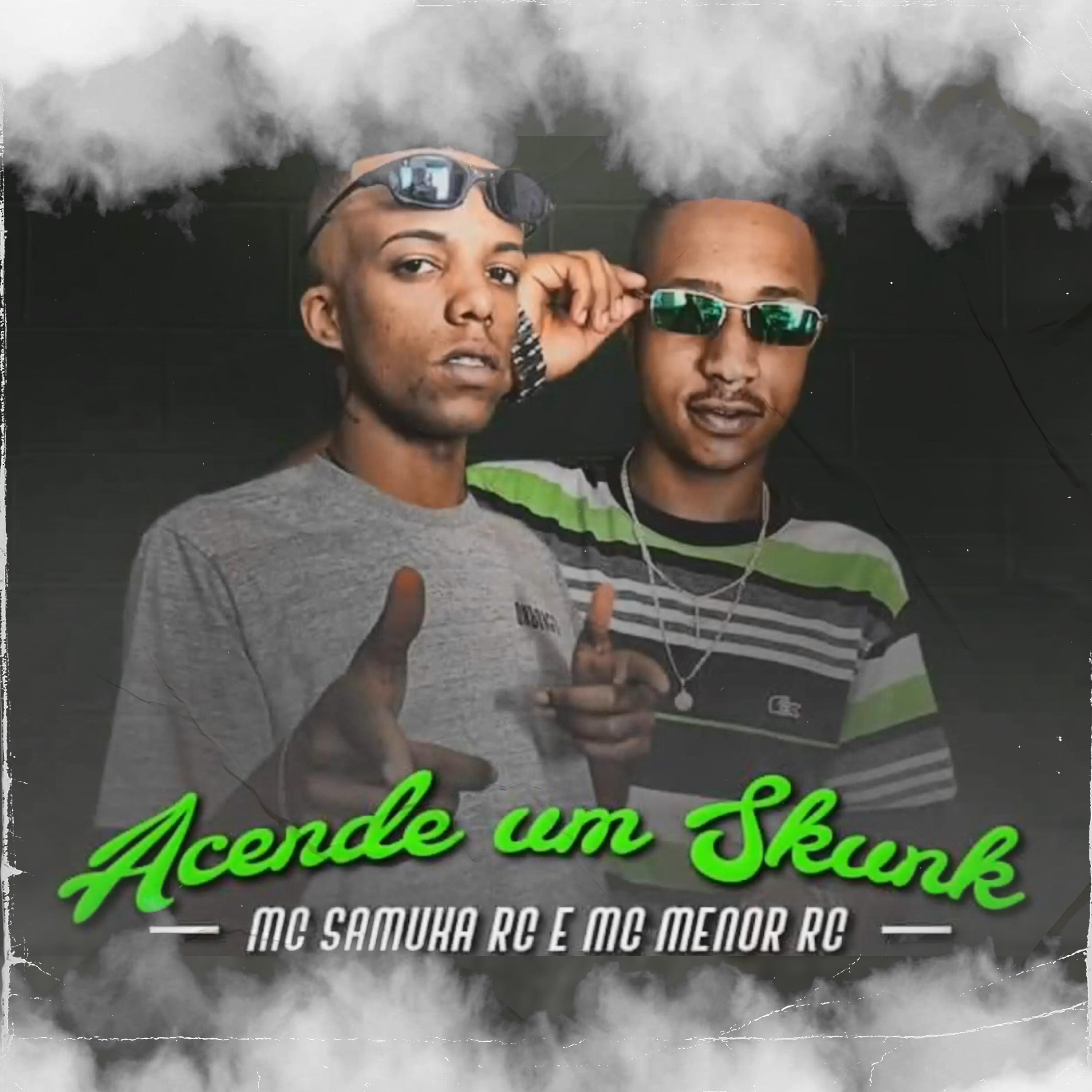 Постер альбома Acende um Skunk