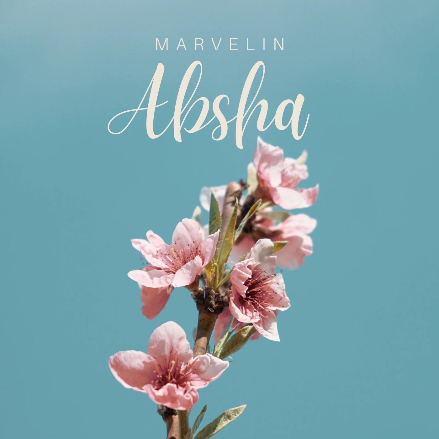 Постер альбома Absha