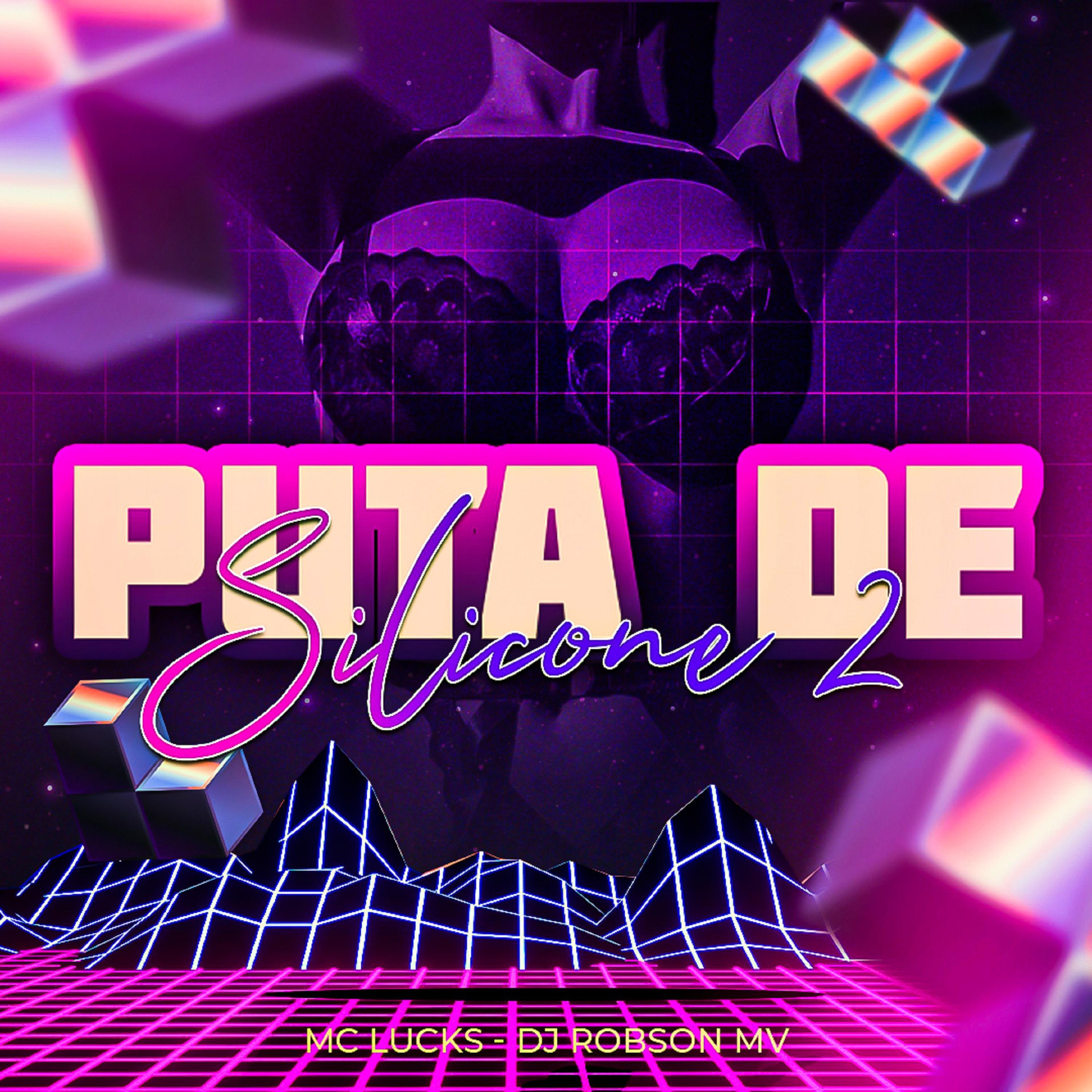 Постер альбома Puta de Silicone 2
