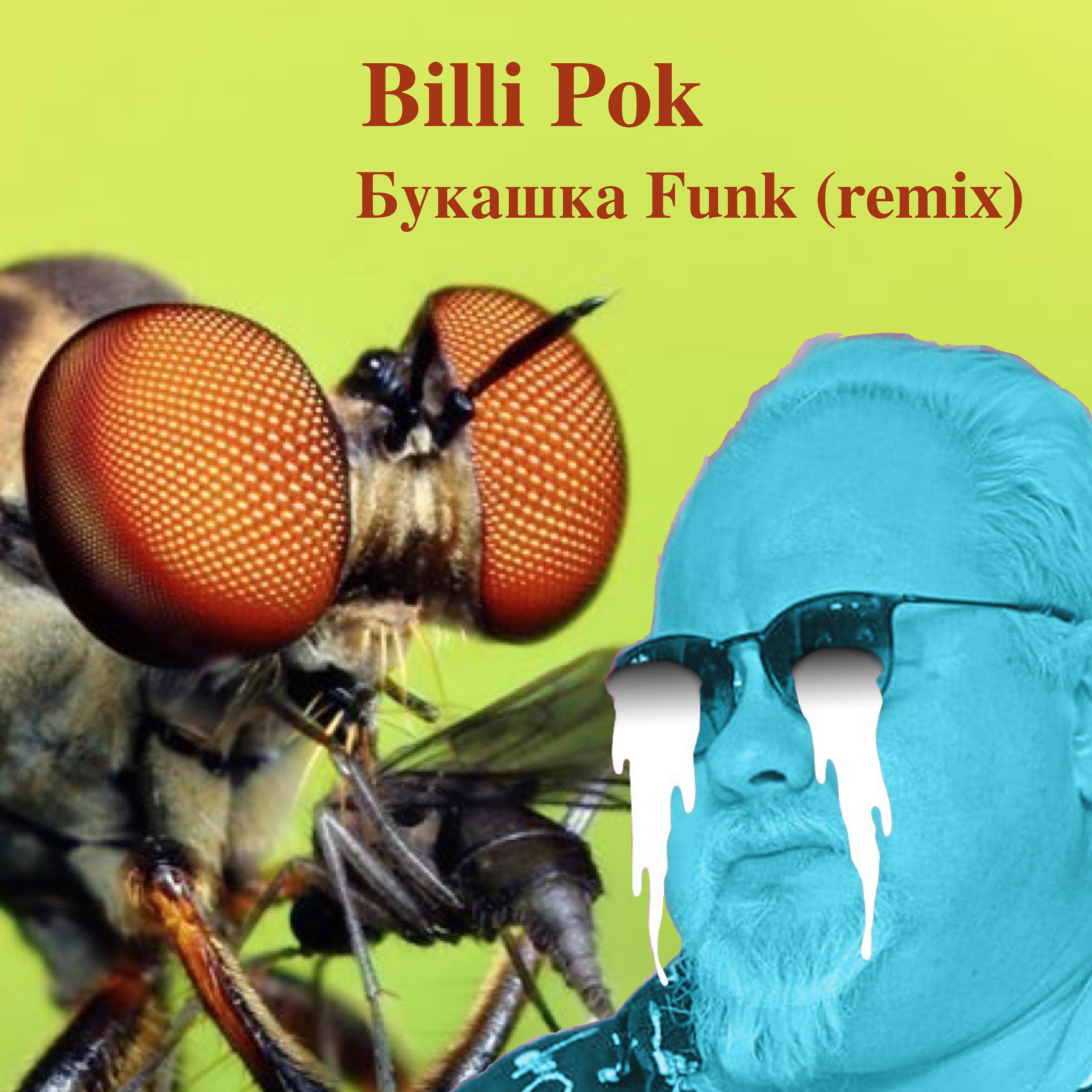 Постер альбома Букашка Funk (Remix)