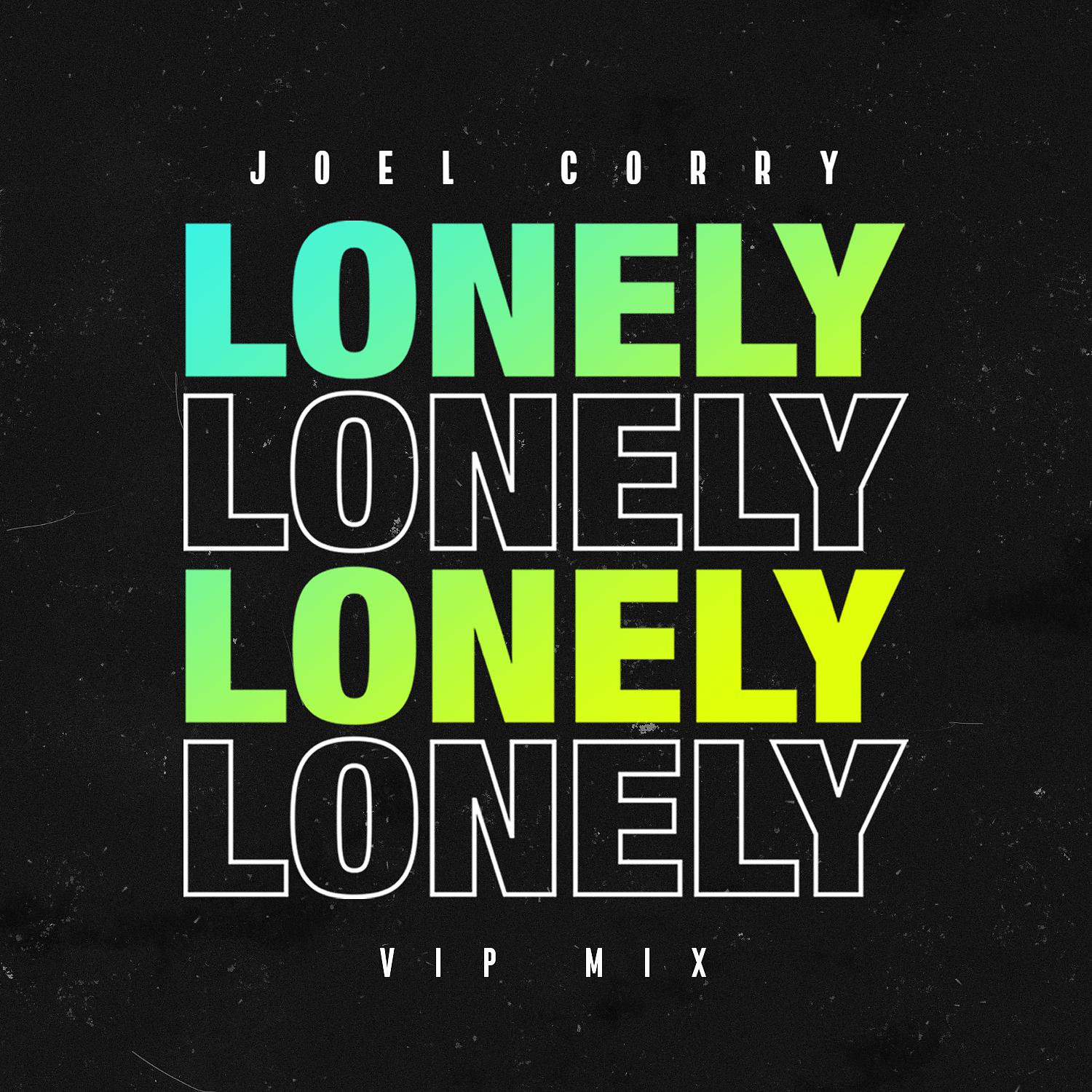 Постер альбома Lonely (VIP Mix)