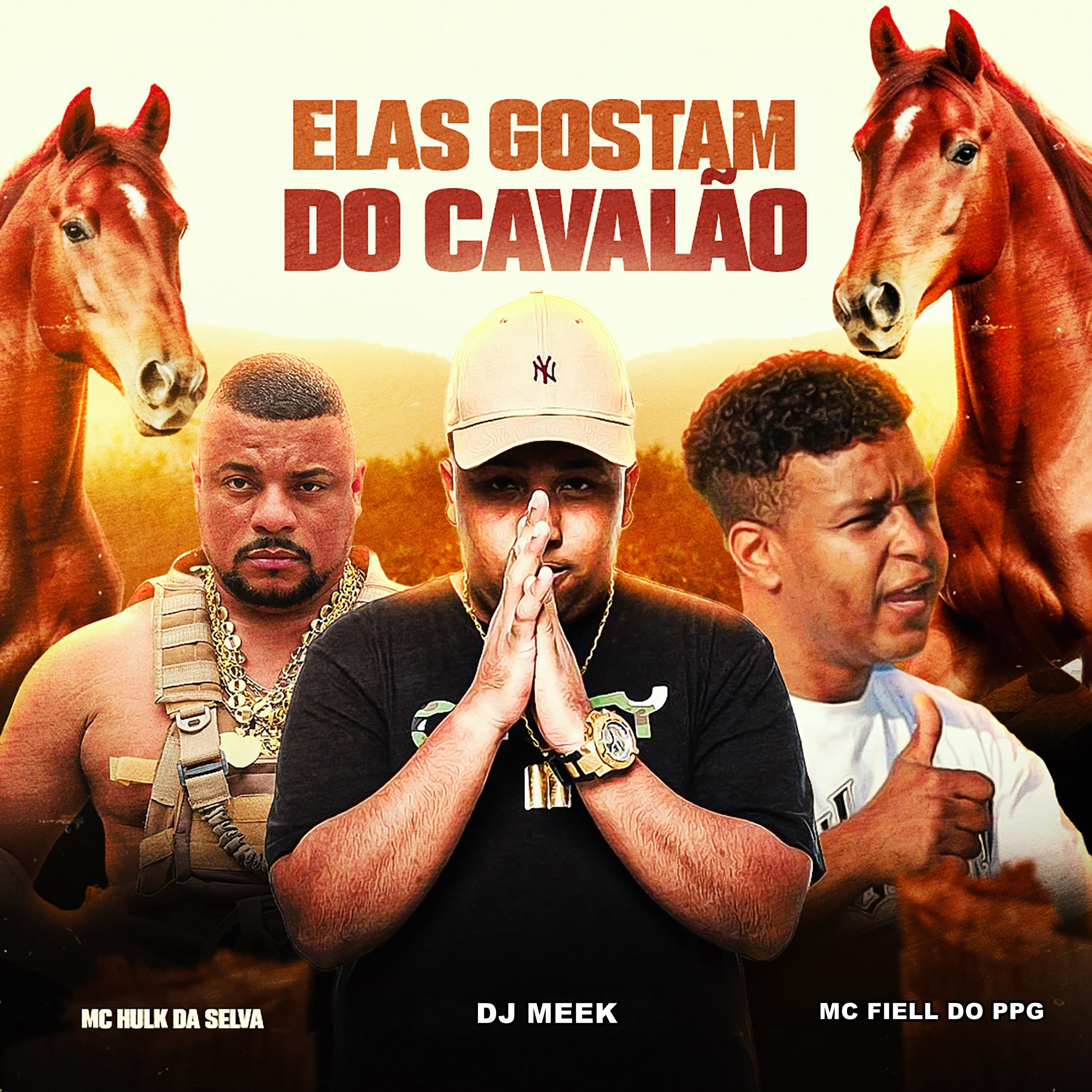 Постер альбома Elas Gostam do Cavalão