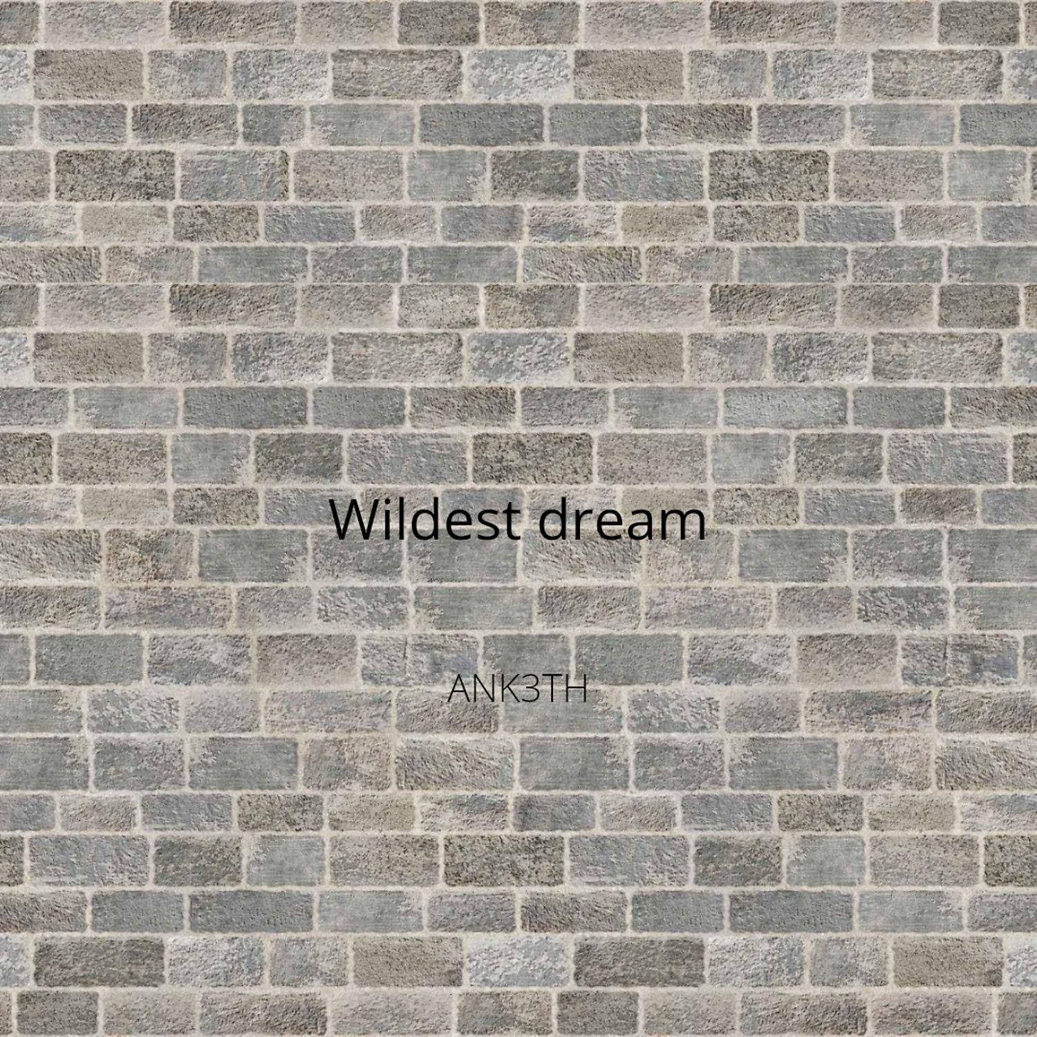 Постер альбома Wildest Dream